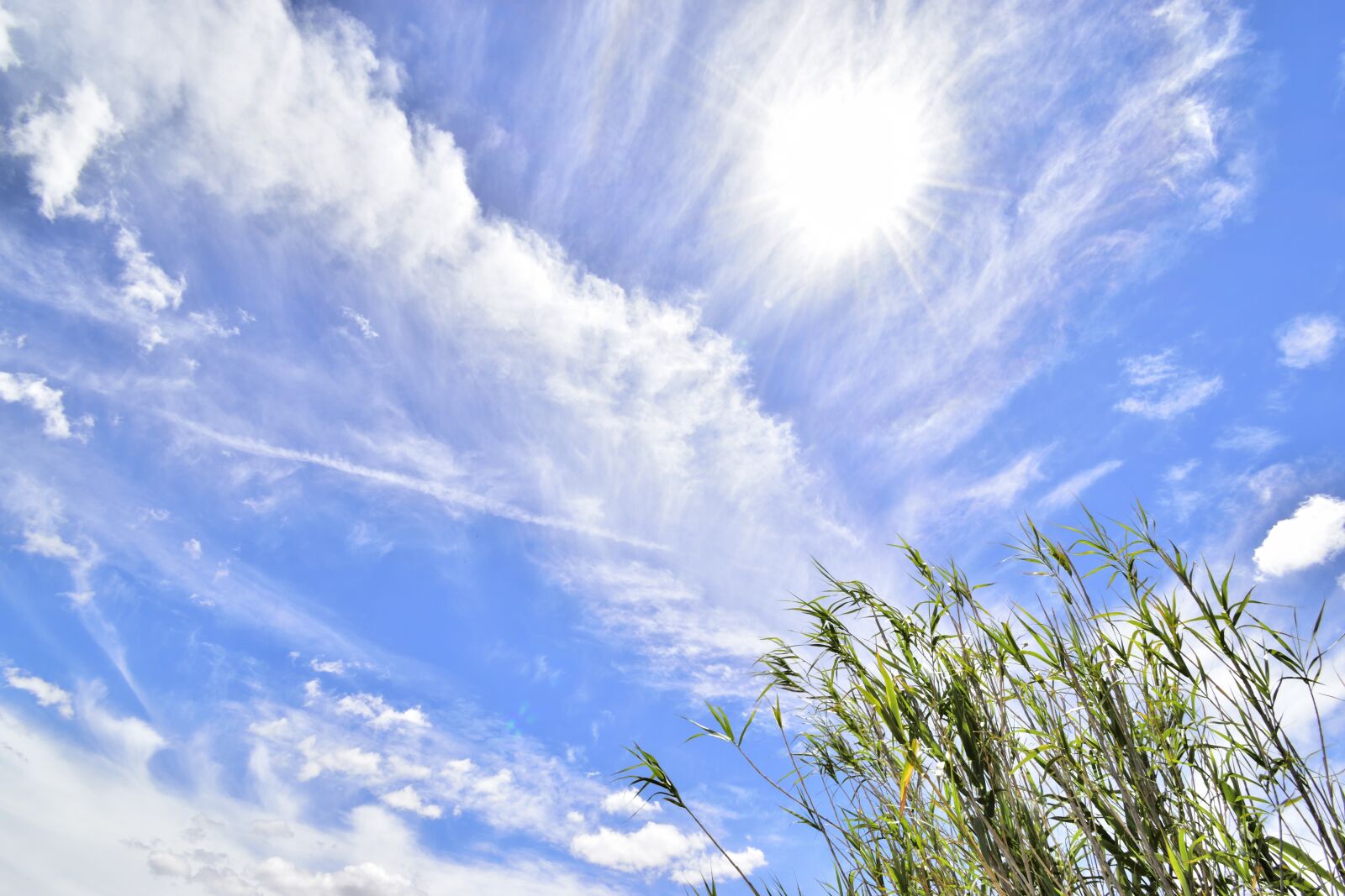 Nikon D5500 sample photo. Sky, clouds, climate photography