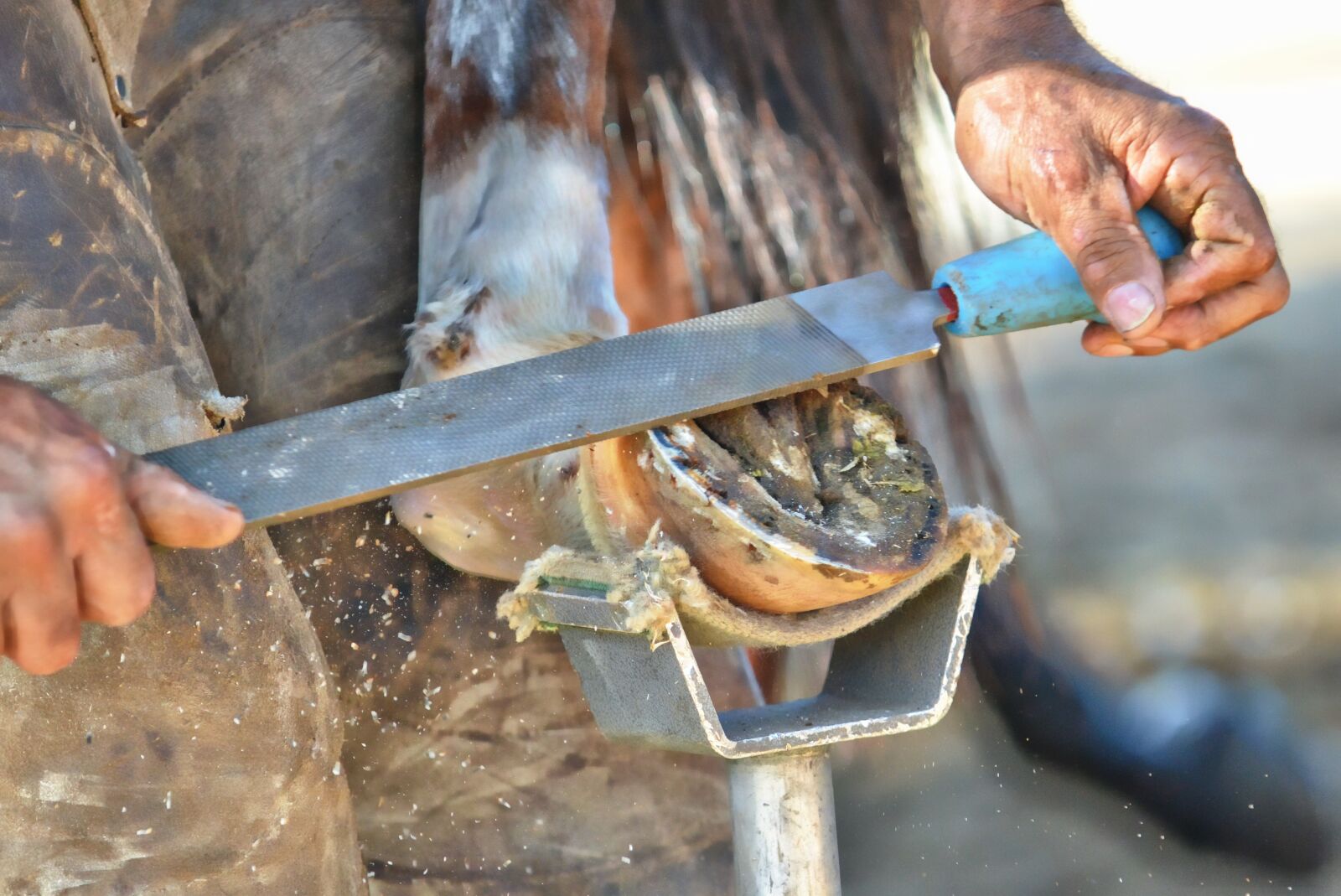 Nikon D7000 sample photo. Farrier, blacksmith, horseshoe photography