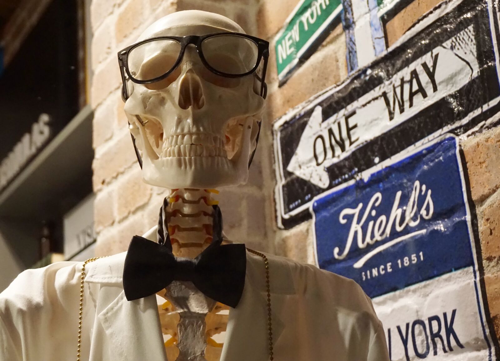 Sony a6000 sample photo. Skeleton, funny, creepy photography