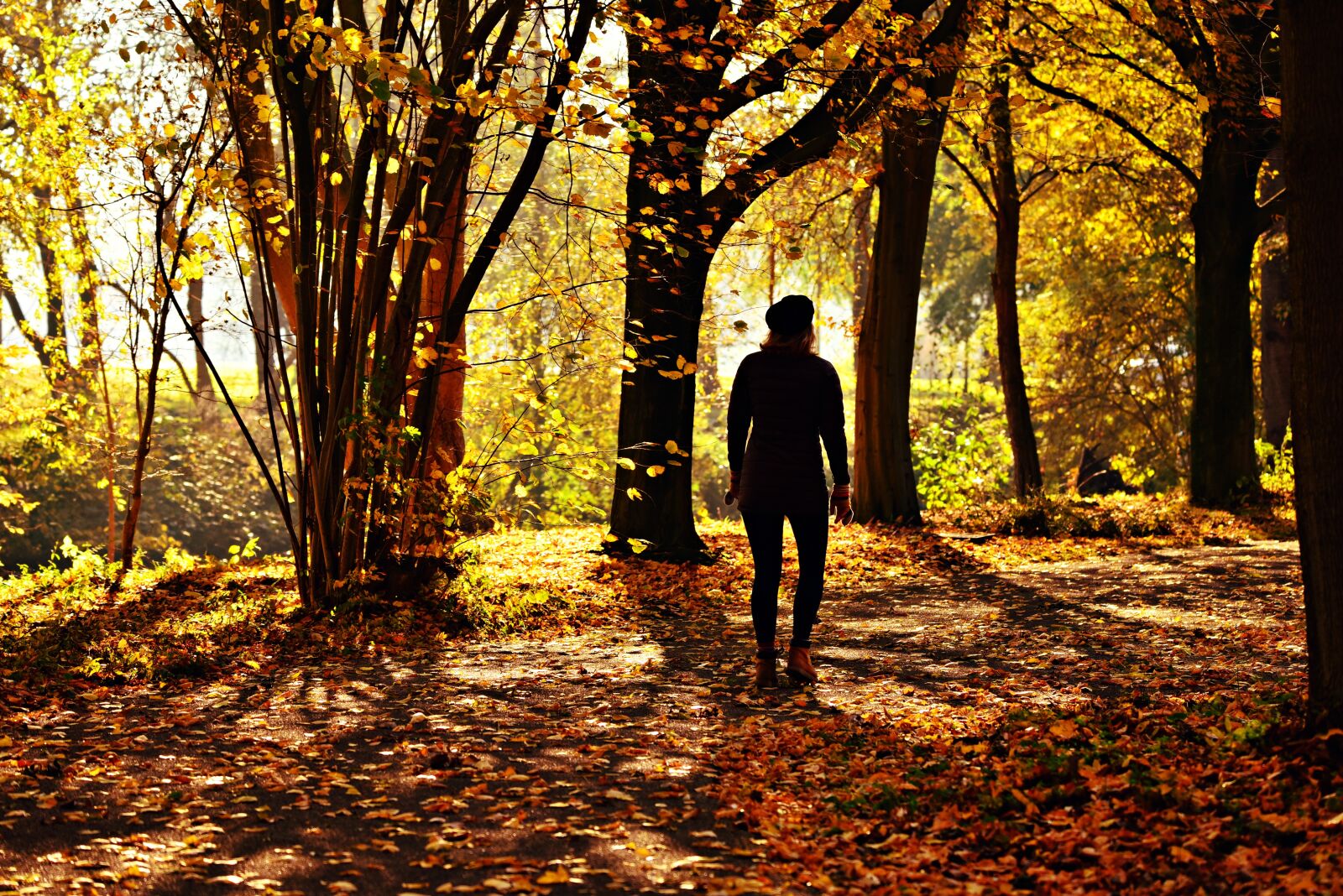Nikon D750 sample photo. Woman, person, walking photography