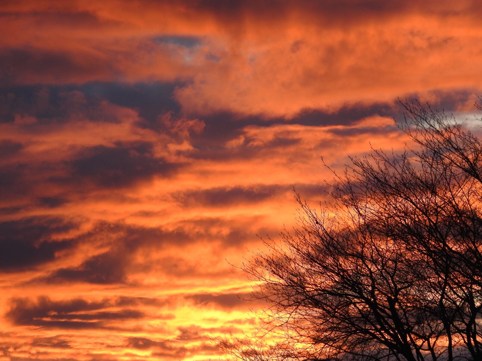 Nikon Coolpix P900 sample photo. Sunset, evening sky, afterglow photography