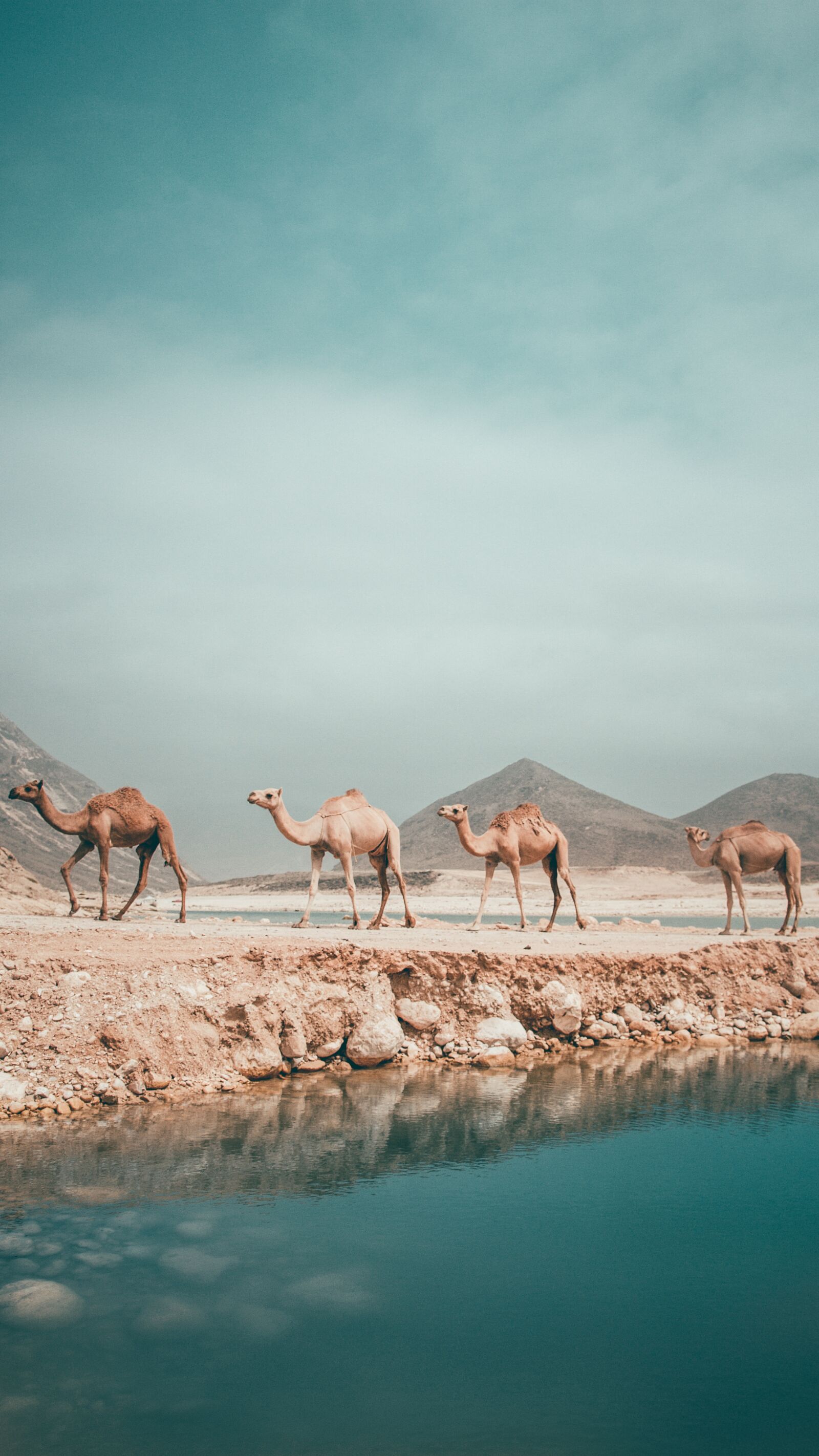 Canon EOS 650D (EOS Rebel T4i / EOS Kiss X6i) sample photo. Oman, salalah, str photography