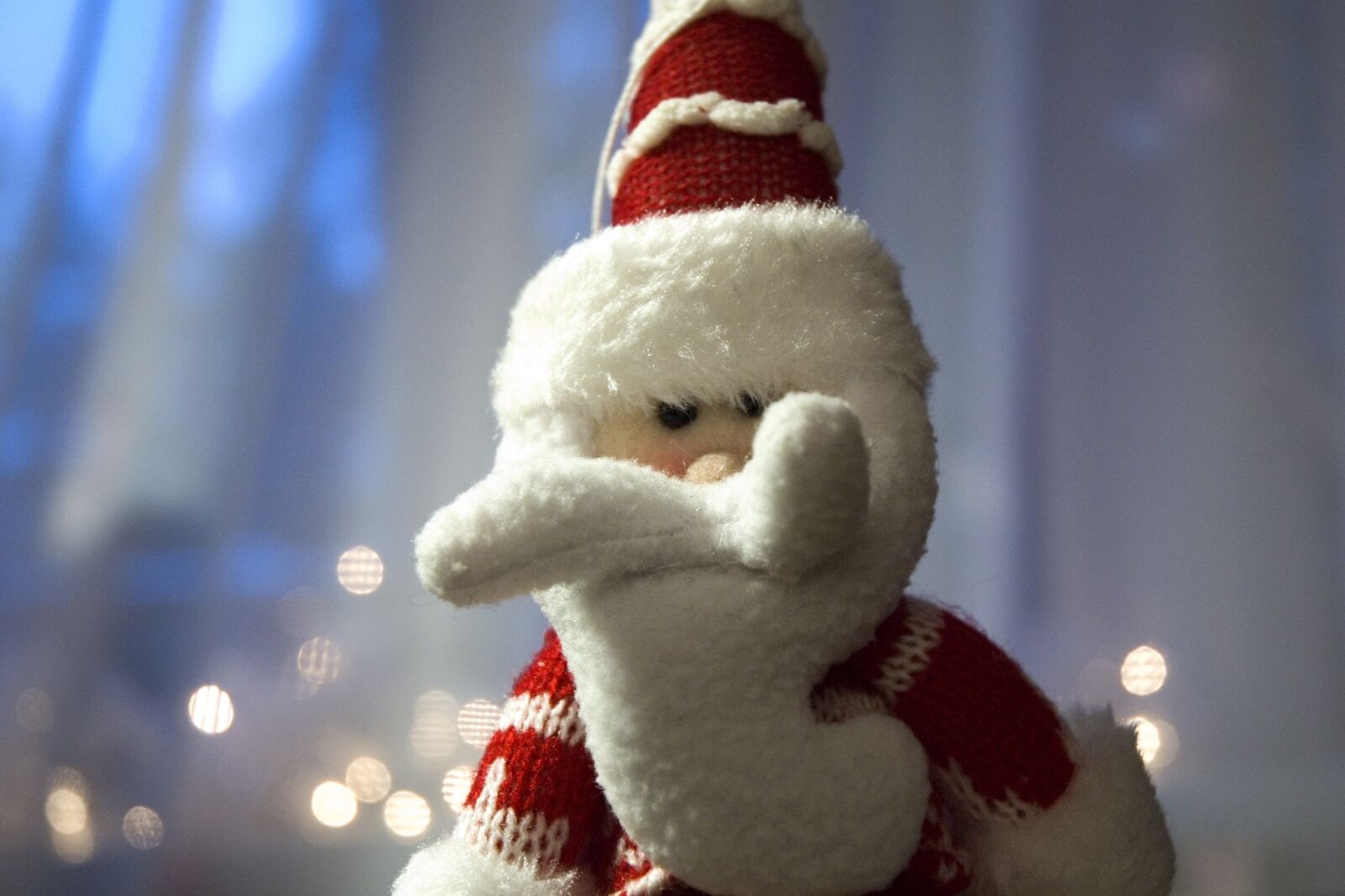 Nikon D70s sample photo. Santa claus, christmas, decoration photography