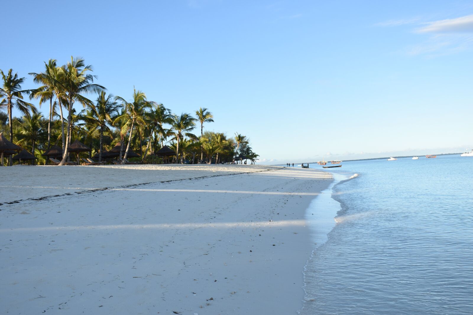 Nikon D5600 sample photo. Zanzibar, ocean, tropical photography