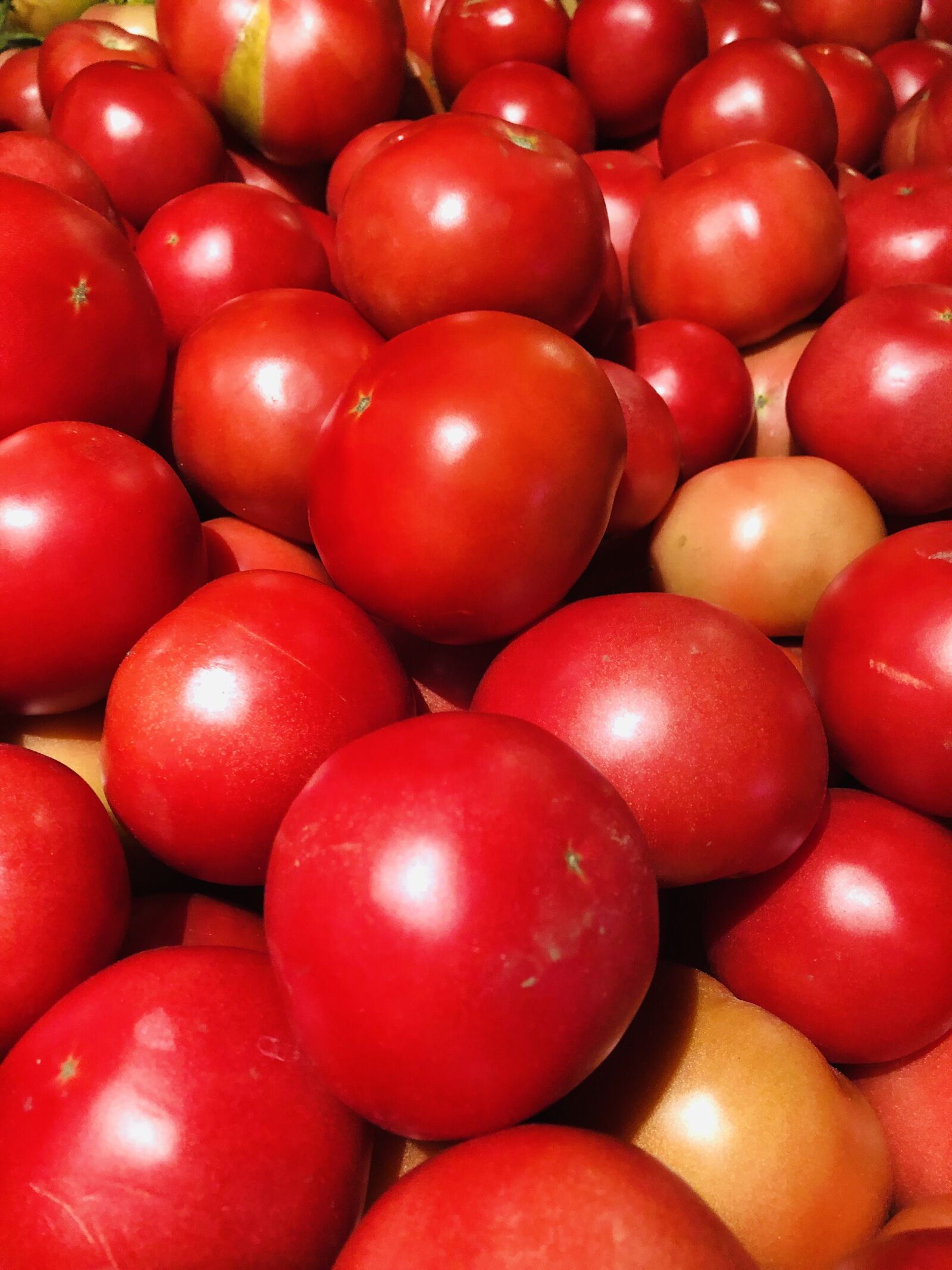 iPhone 8 back camera 3.99mm f/1.8 sample photo. Tomato, fruit, eat photography