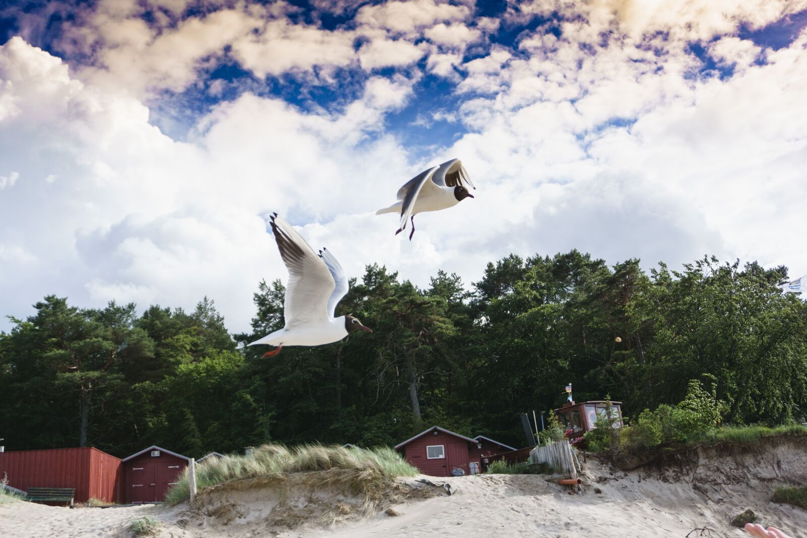 Sony a6000 sample photo. Nature, sky, travel photography