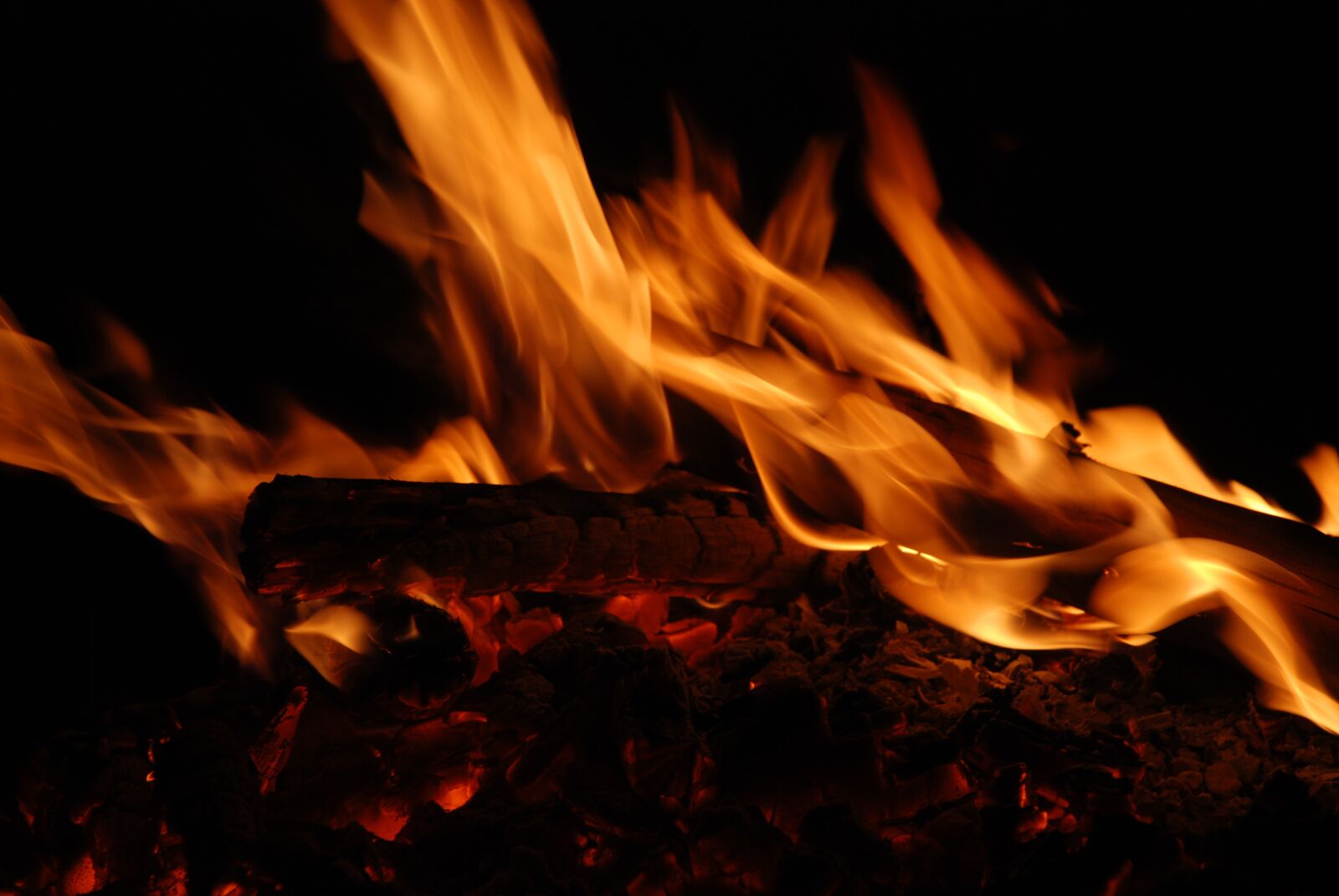 Nikon D80 sample photo. Campfire, dark, fire photography