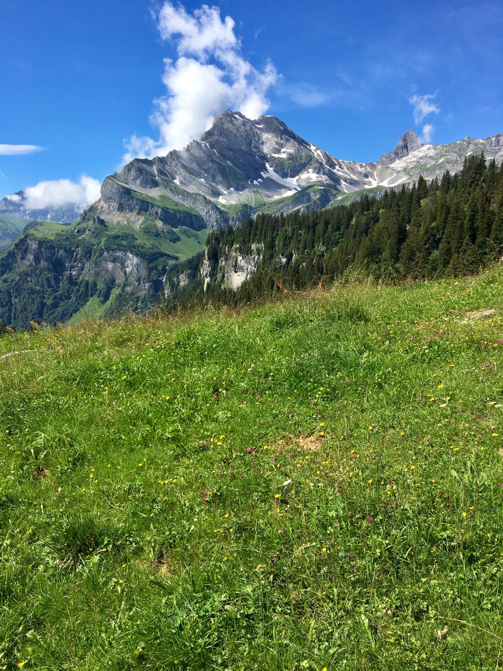 Apple iPhone 6s sample photo. Mountain meadow, mountain, glarus photography