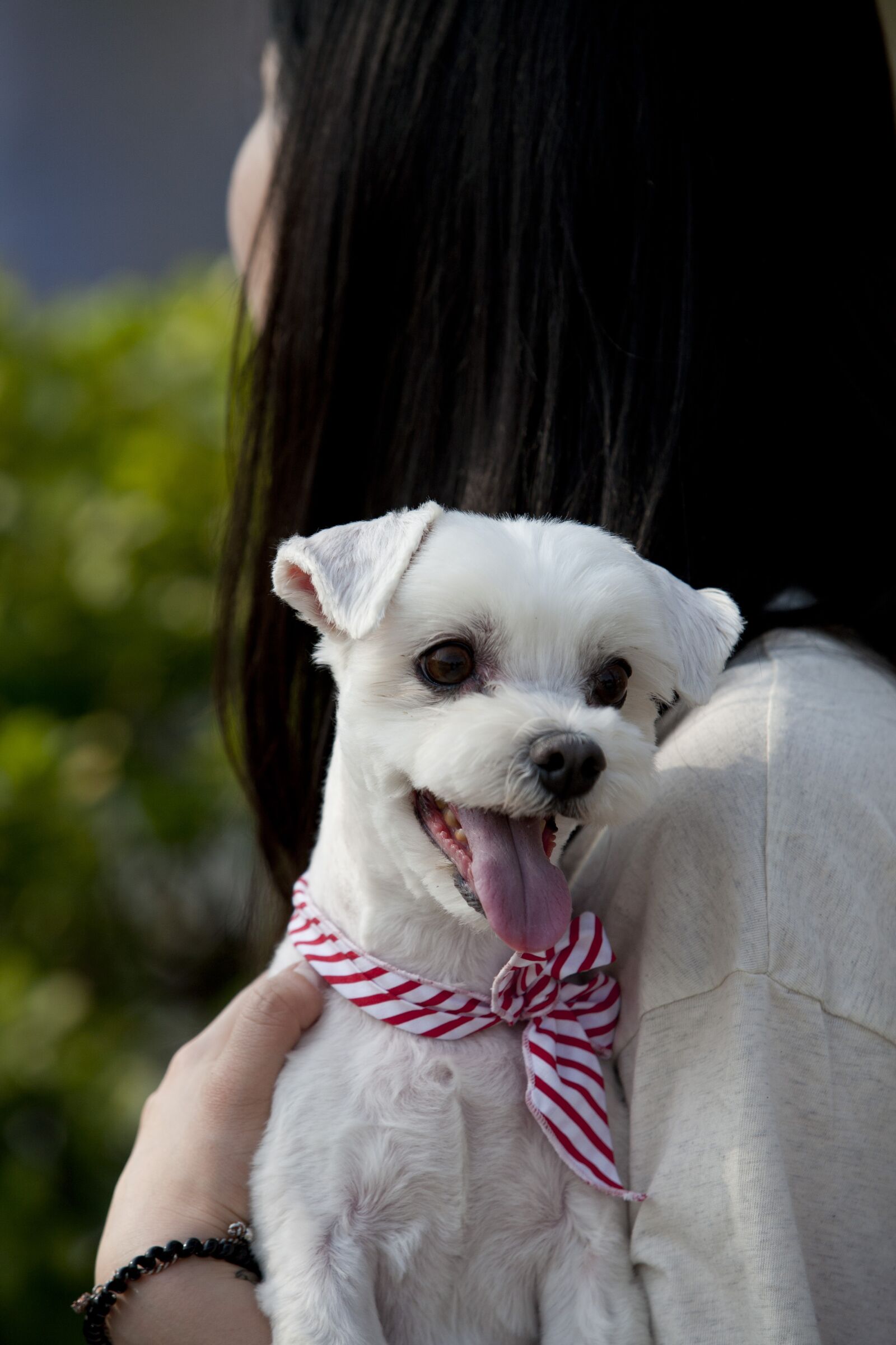Canon EOS 5D sample photo. Pet dogs, canine companion photography