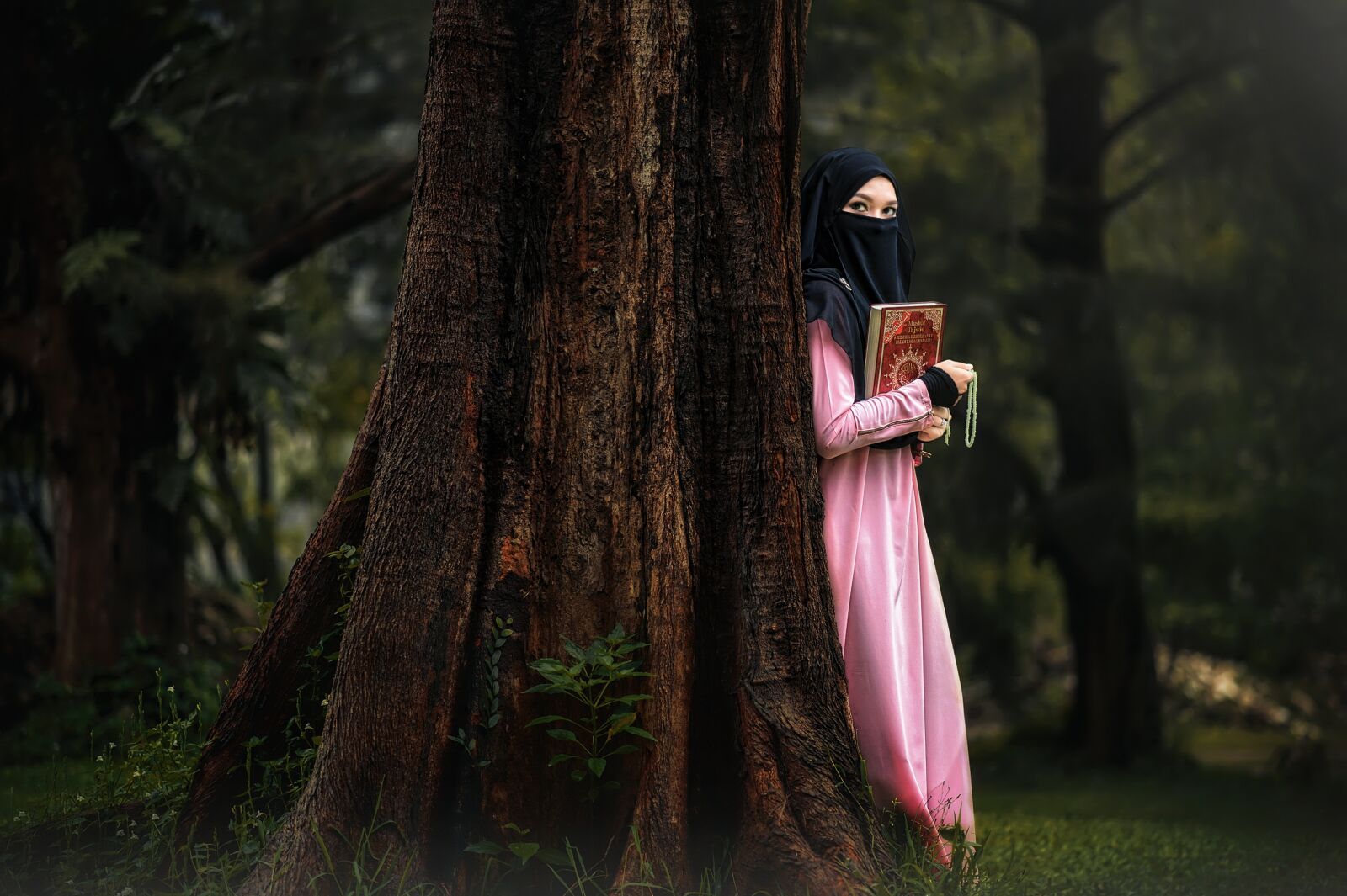 Nikon D700 sample photo. Wood, tree, nature photography