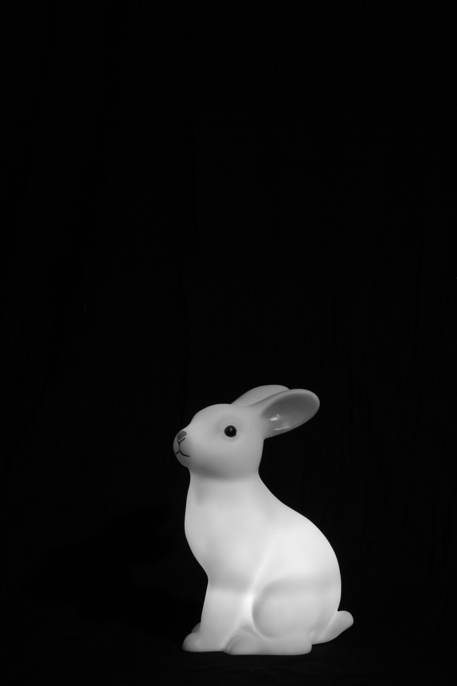 Canon EOS 1000D (EOS Digital Rebel XS / EOS Kiss F) sample photo. Light, rabbit, baby photography