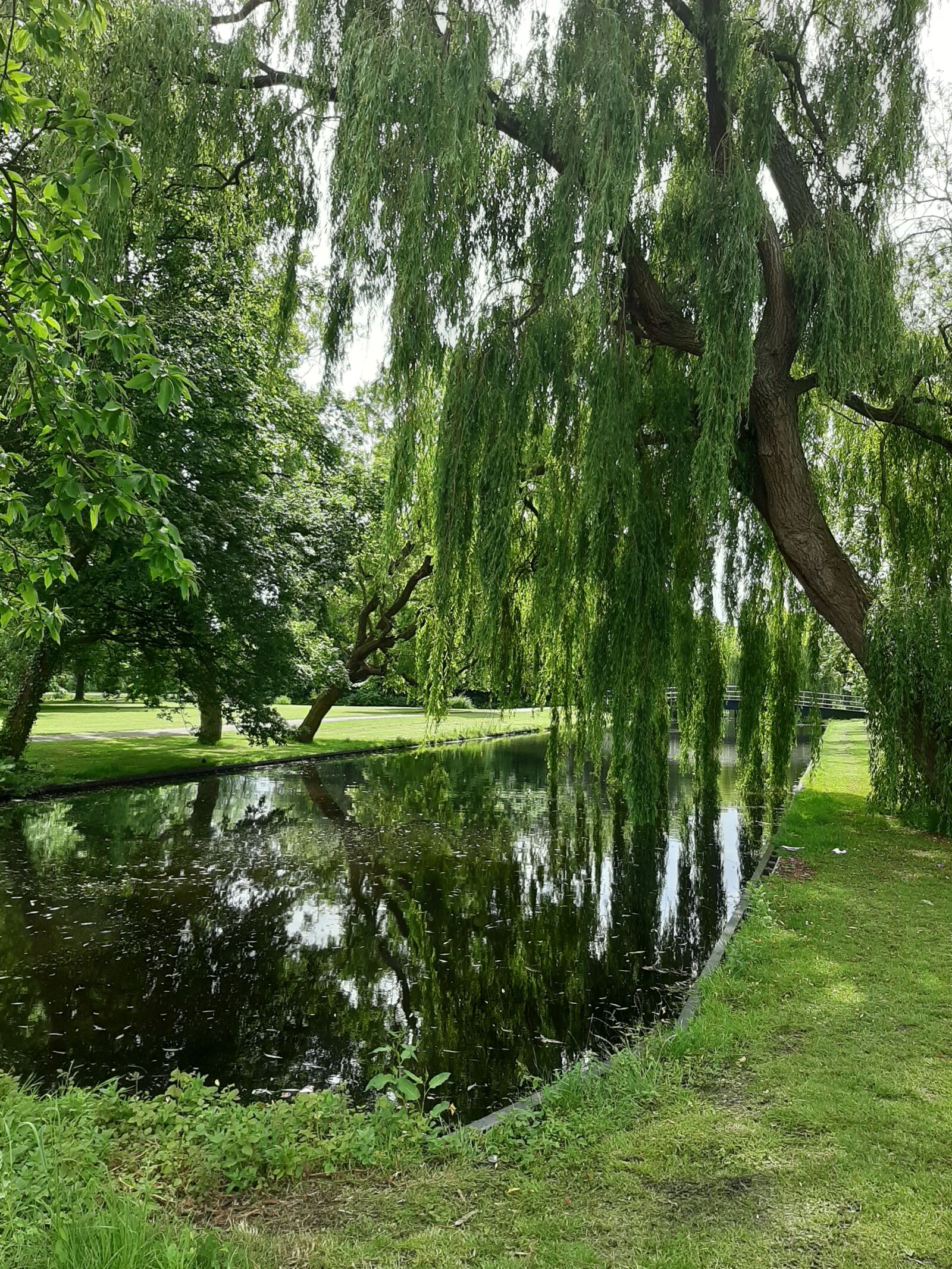 Samsung Galaxy A50 sample photo. Green, canal, summer photography
