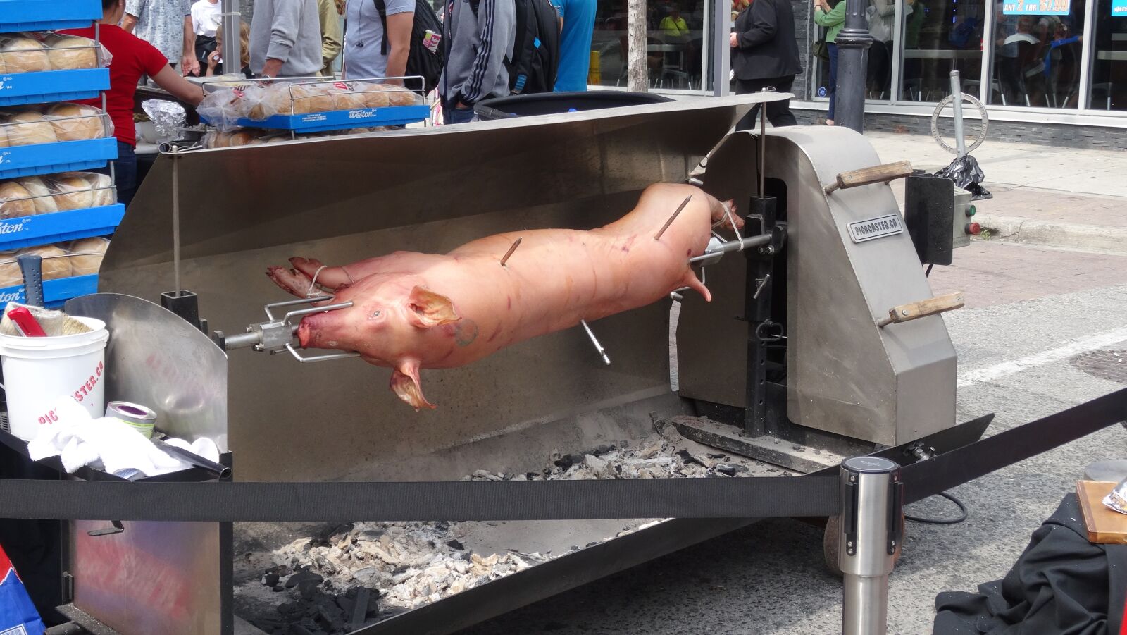 Sony DSC-HX50 sample photo. Pig, barbecue, grill photography