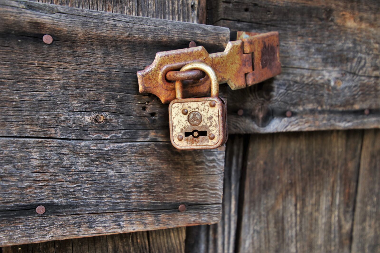 Canon EOS 80D sample photo. The door, by wlodek photography