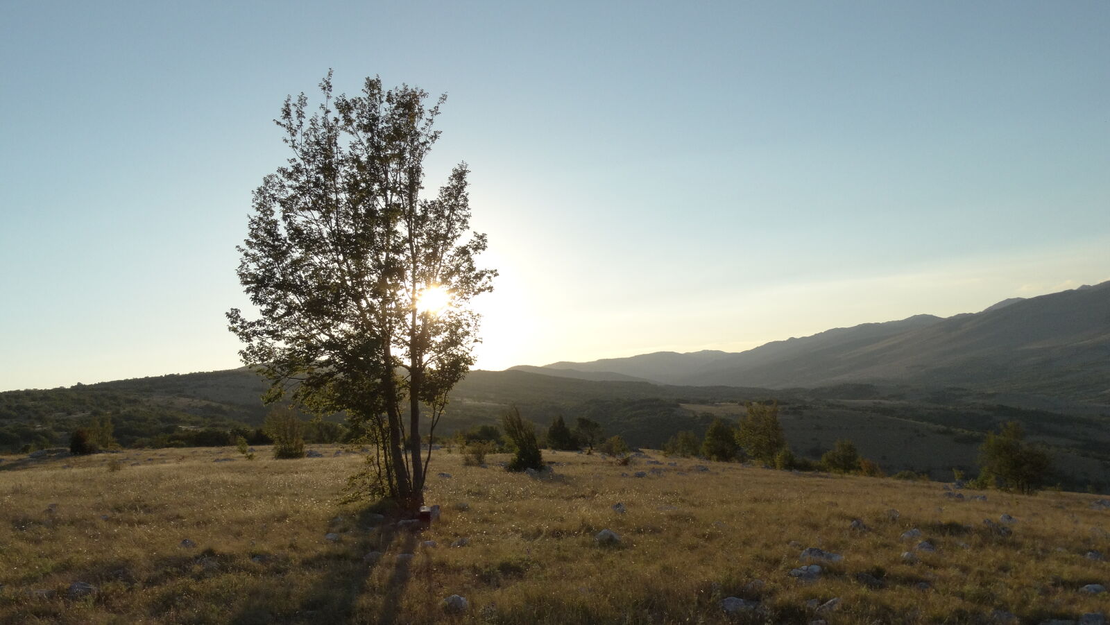 Sony Cyber-shot DSC-HX300 sample photo. Landscape, summer, wood photography