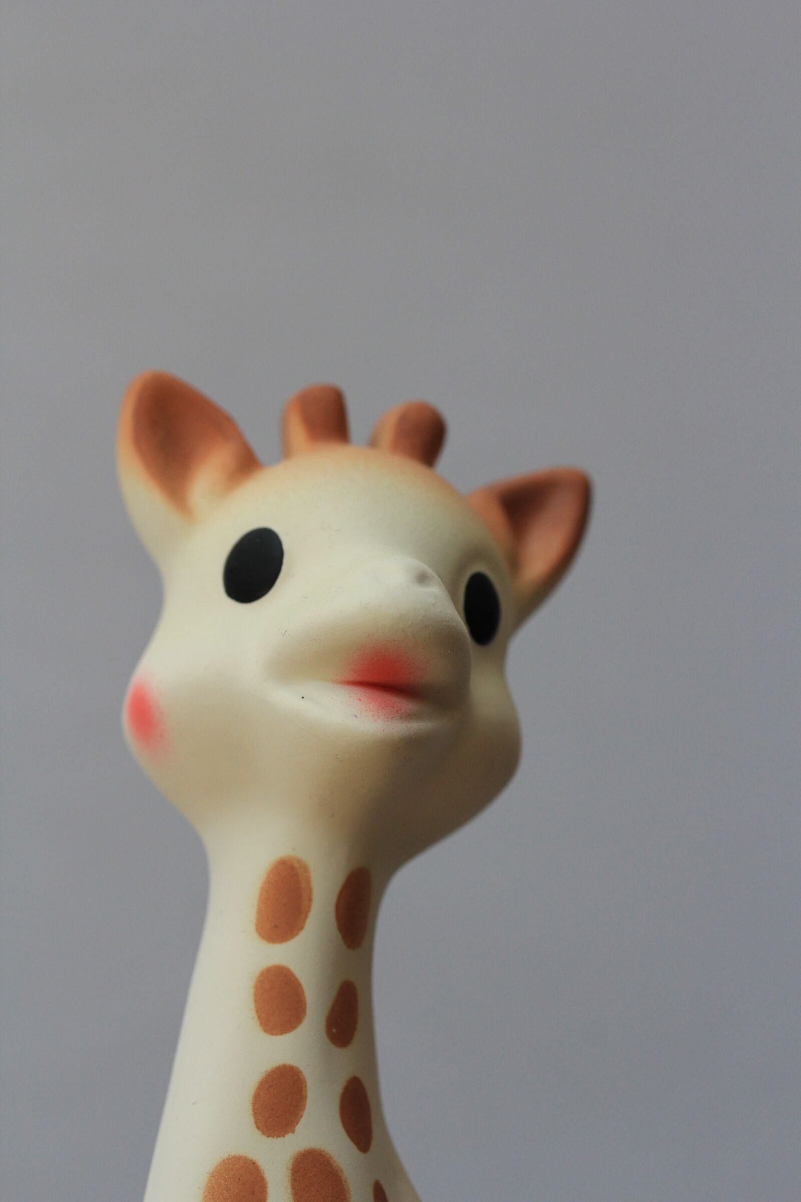 Canon EF-S 60mm F2.8 Macro USM sample photo. Giraffe, baby, toy photography