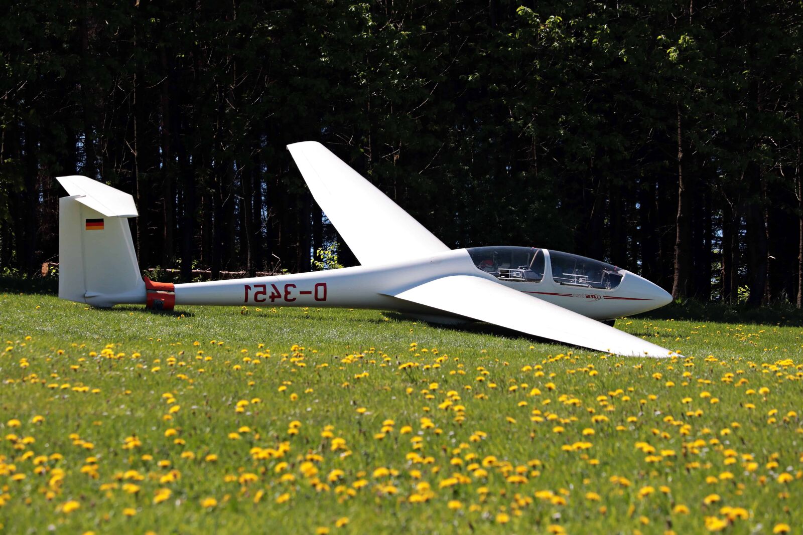 Canon EOS 80D sample photo. Aeroplano, aircraft, meadow, grass photography