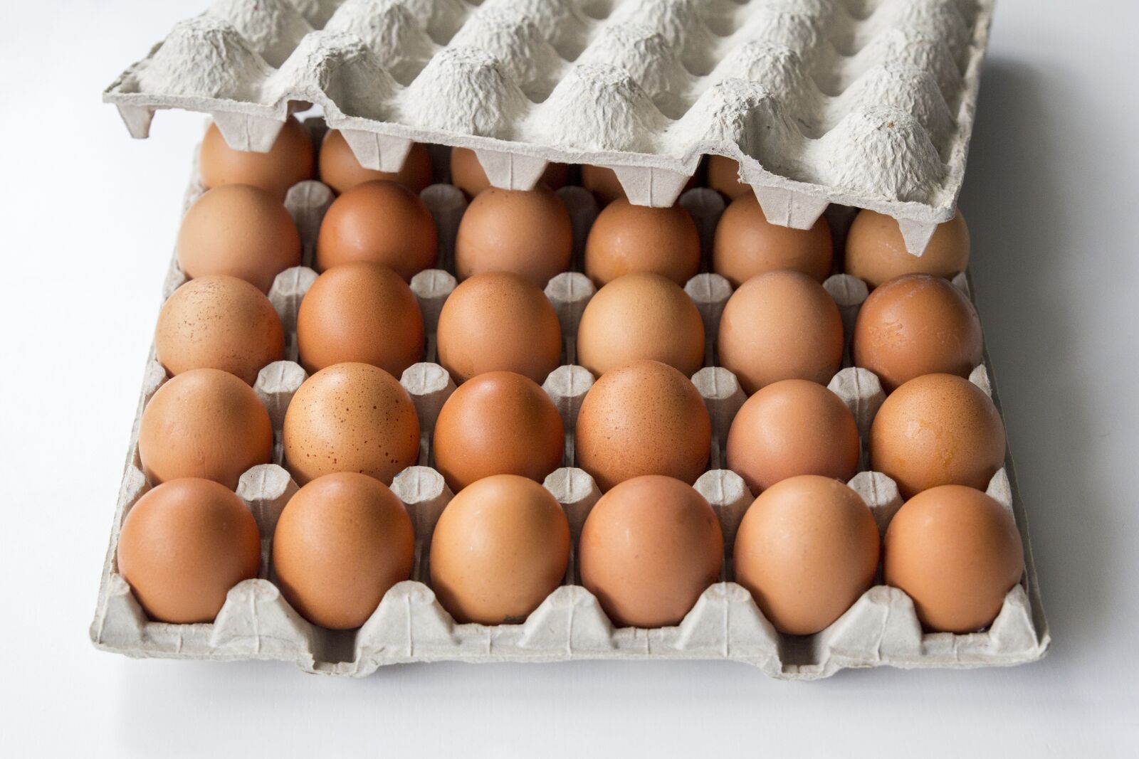 Canon EOS 60D sample photo. Eggs, packaging, tara photography