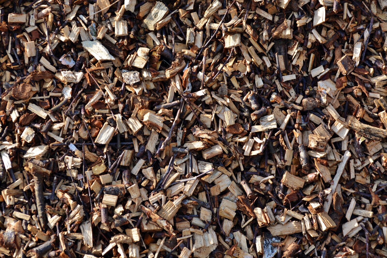 Nikon D5200 sample photo. Wood chips, firewood, horticulture photography
