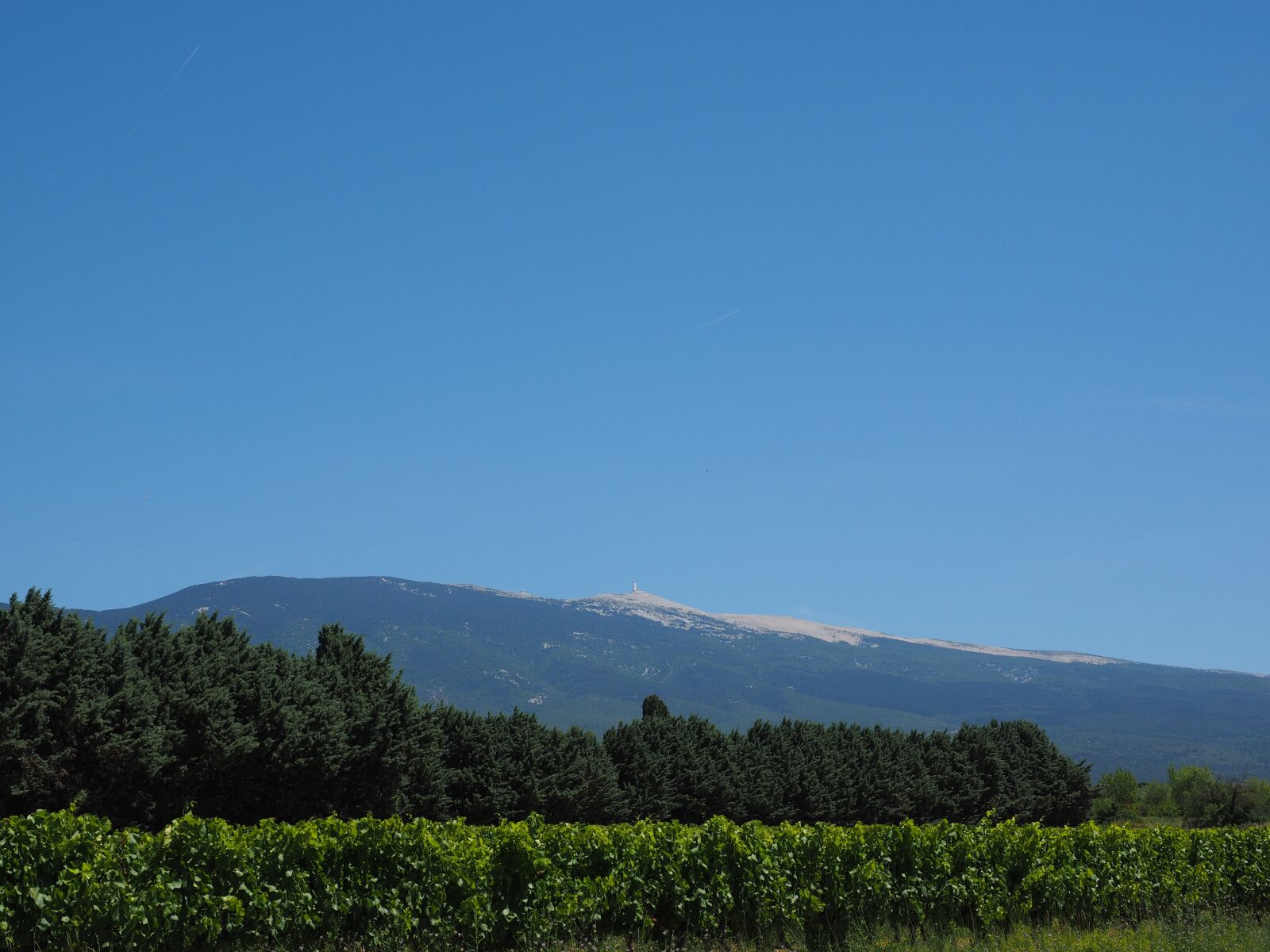 Olympus OM-D E-M1 + Olympus M.Zuiko Digital ED 12-40mm F2.8 Pro sample photo. Ventoux, mountain, provence photography