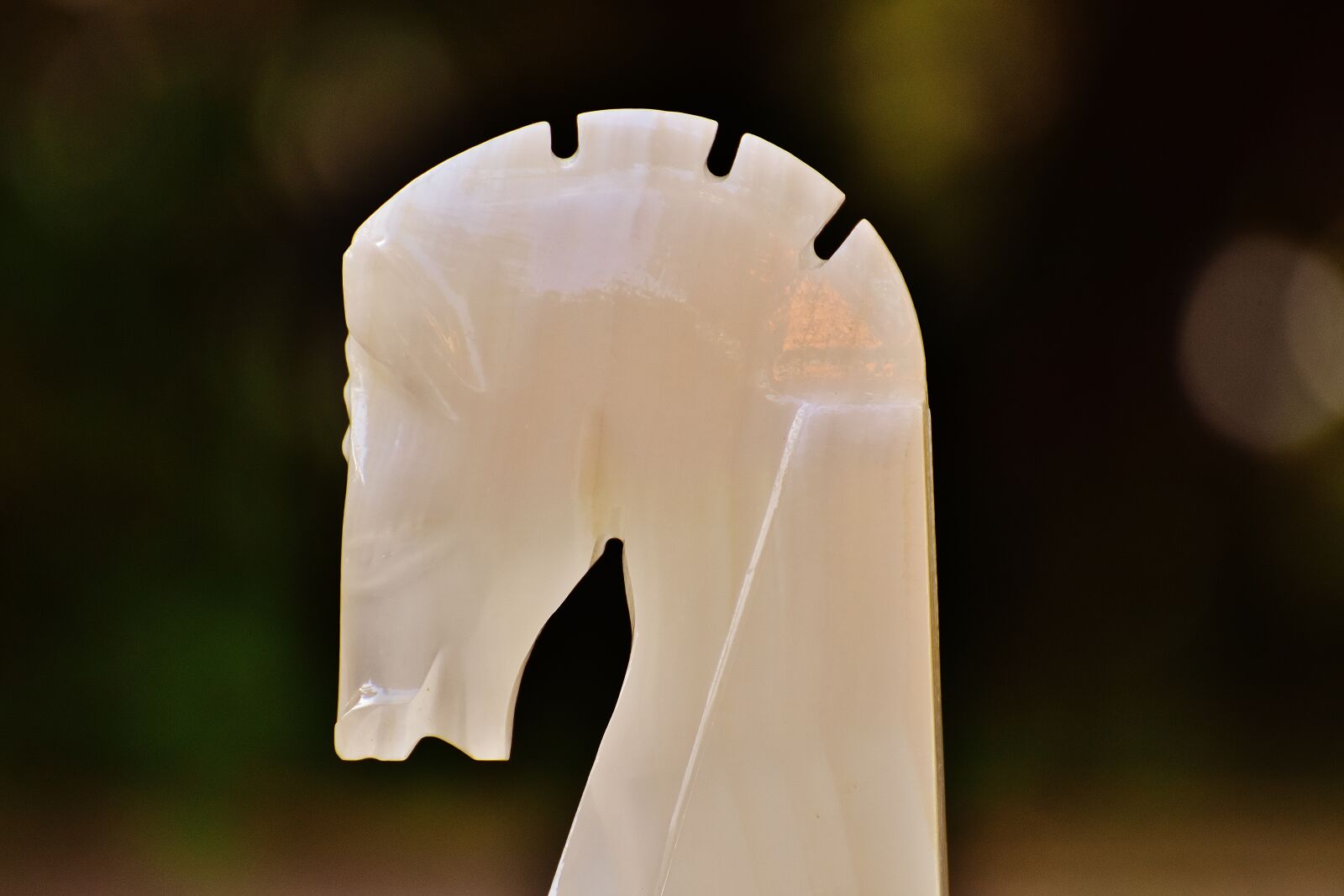 Nikon D7200 sample photo. Horse, horse head, marble photography