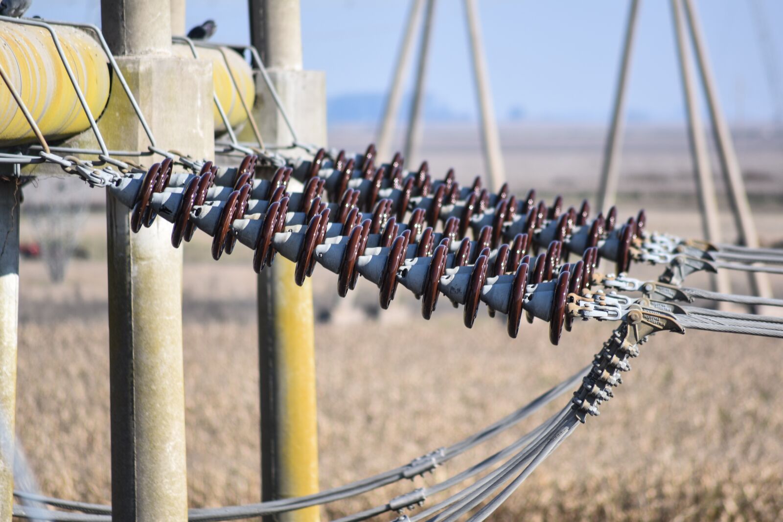 Nikon D5500 sample photo. Insulators, hv, electricity photography