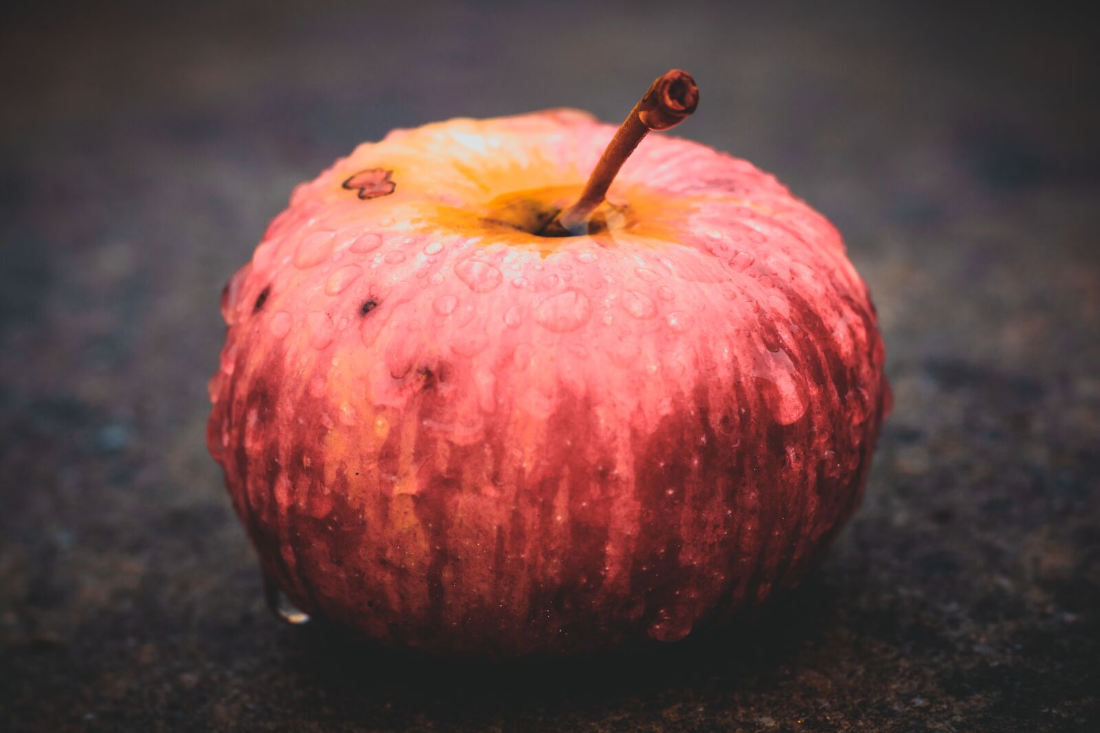 Canon EF 50mm F1.8 STM sample photo. Apple, wet, drip photography