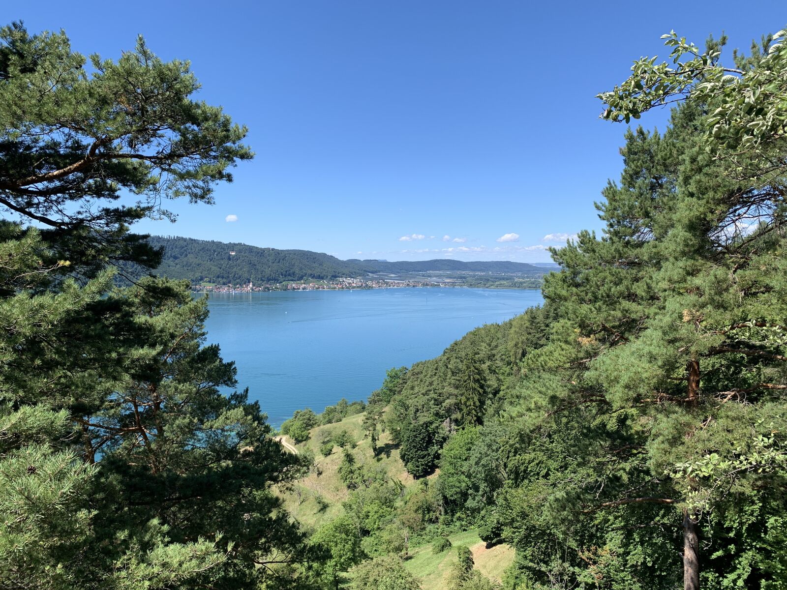 iPhone XR back camera 4.25mm f/1.8 sample photo. Sipplingen, lake constance, view photography