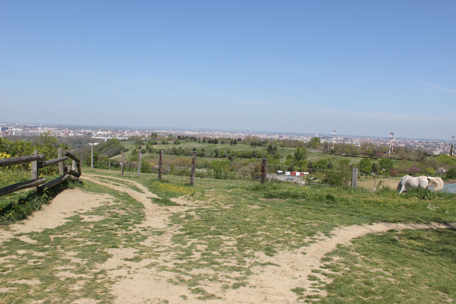 Canon EOS 600D (Rebel EOS T3i / EOS Kiss X5) sample photo. Grass, green, horses, landscape photography