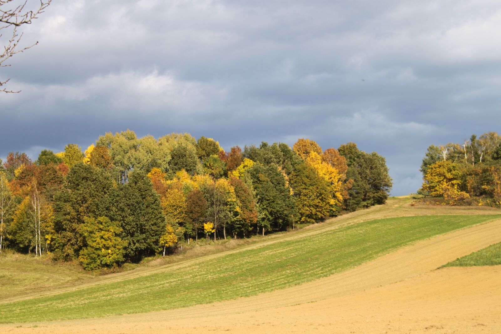 Canon EOS 500D (EOS Rebel T1i / EOS Kiss X3) sample photo. Autumn, landscape, nature photography