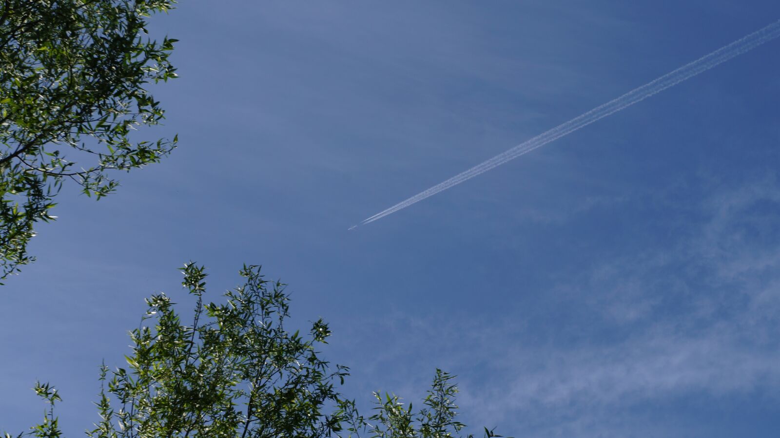 Sony Alpha NEX-5N sample photo. Blue sky, aircraft, white photography