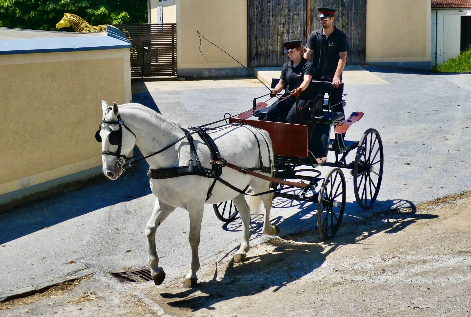 Panasonic Lumix DC-ZS70 (Lumix DC-TZ90) sample photo. Cart, traditional, carriage photography