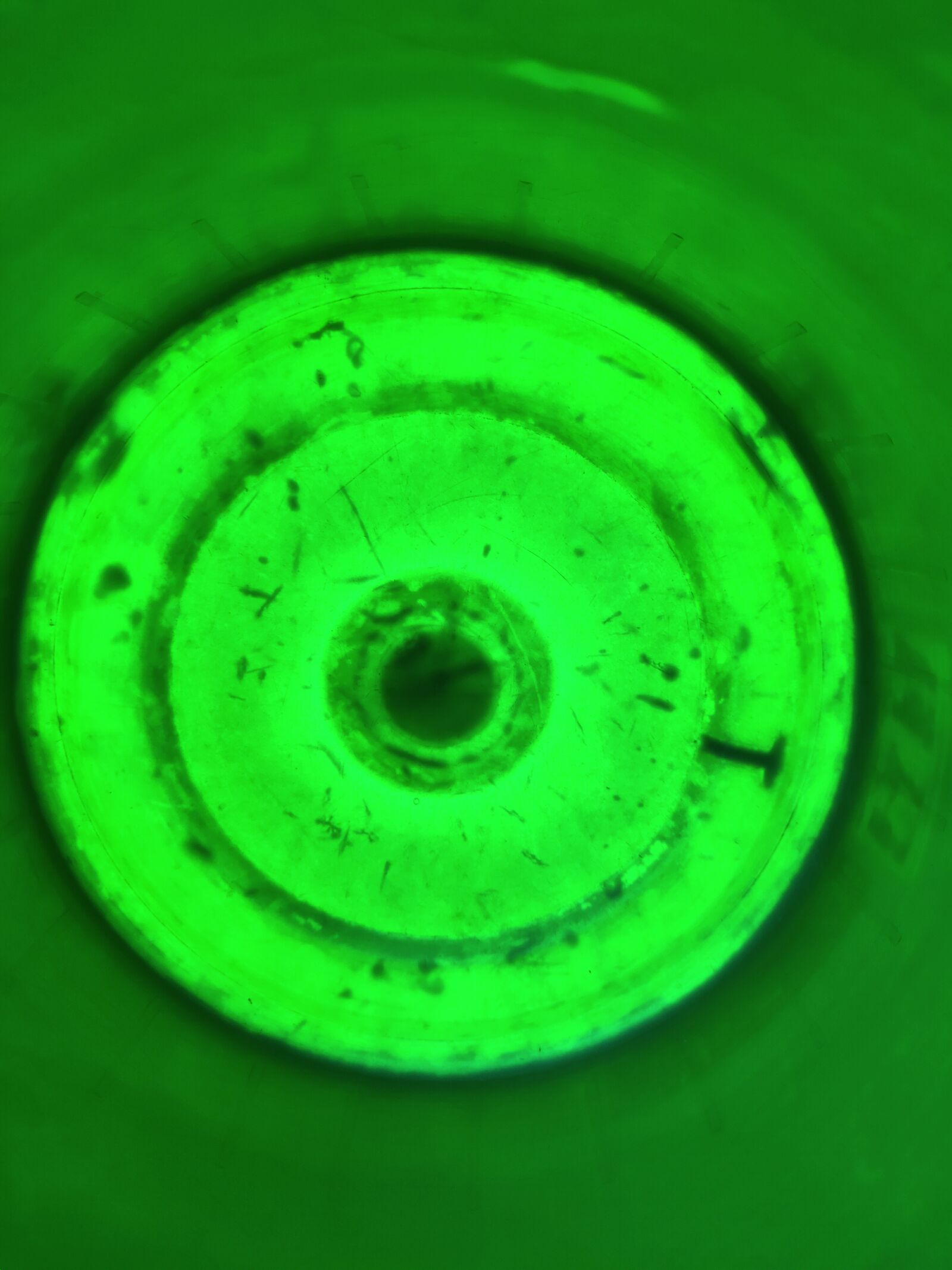 Realme 3 PRO sample photo. Green, circle, light photography