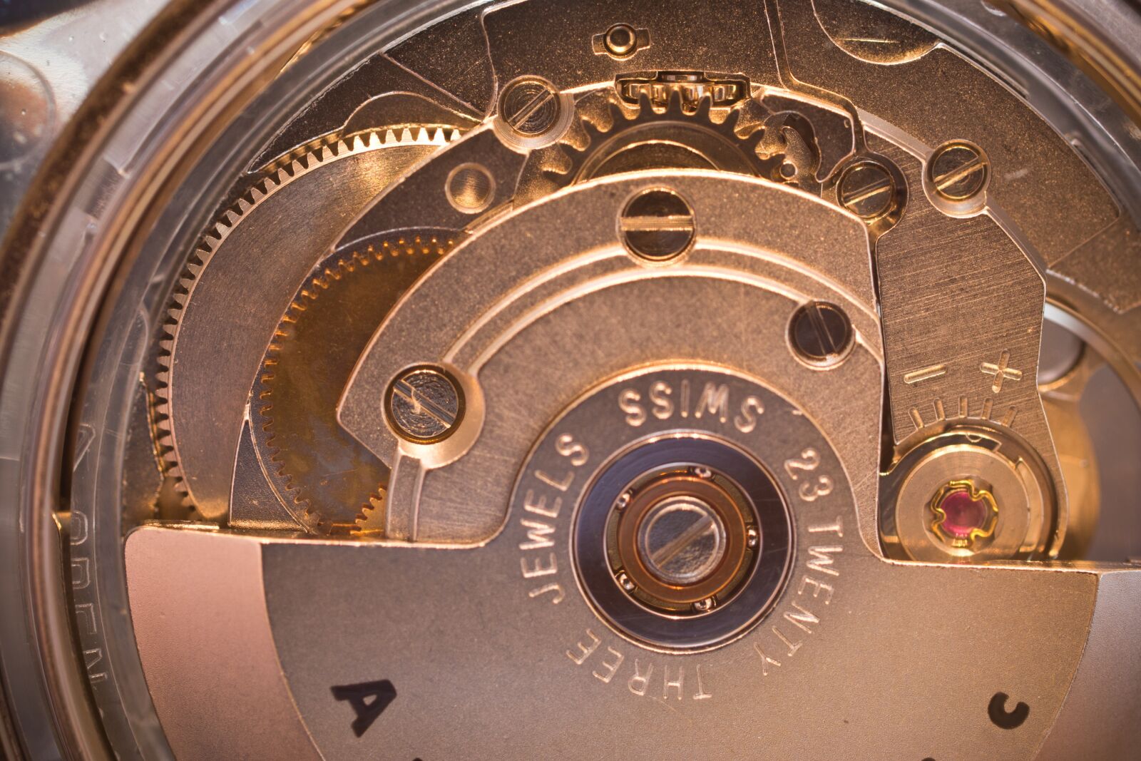 Canon EOS 70D + Canon EF 50mm F2.5 Macro sample photo. Movement, mechanics, automatic watch photography