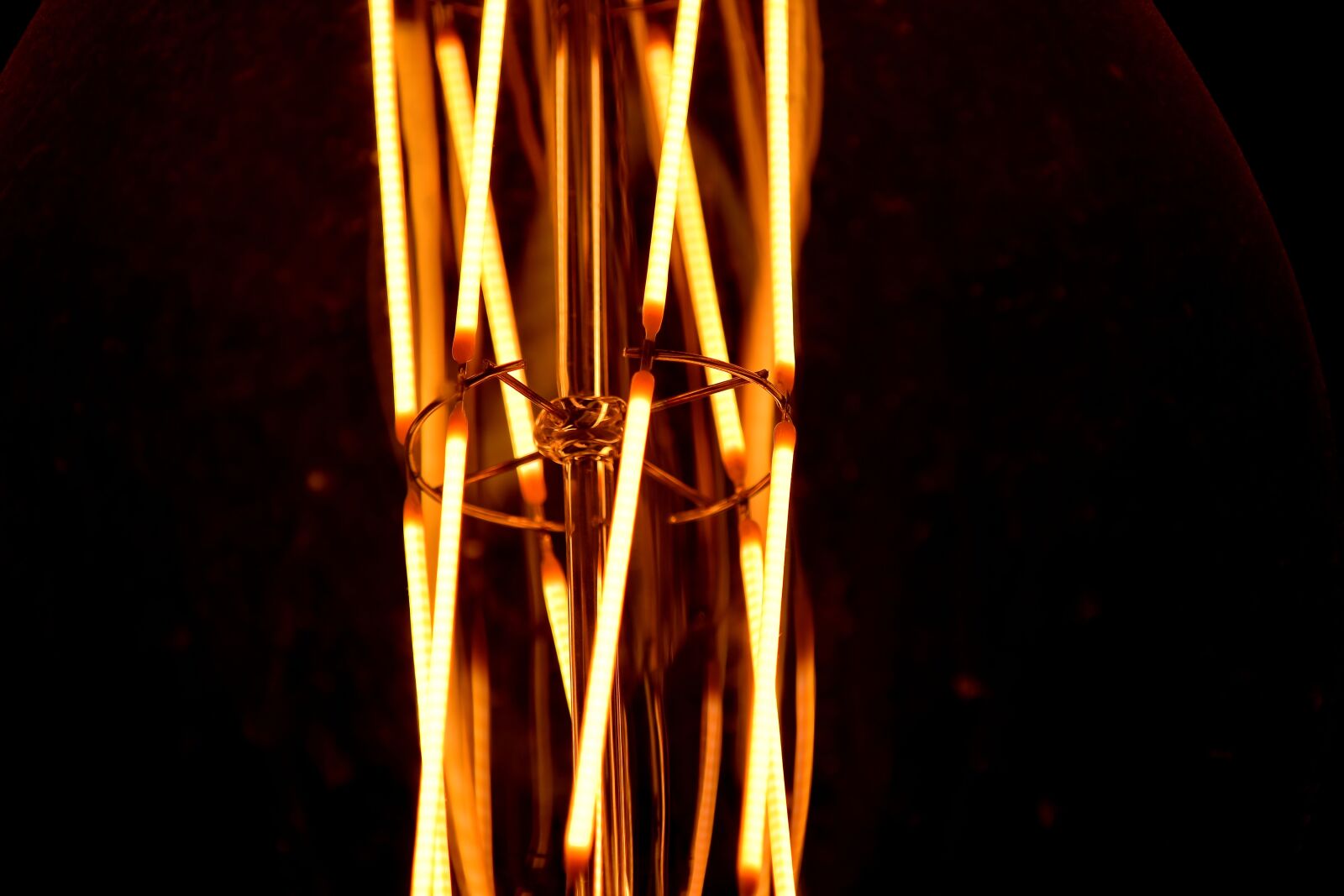 Nikon D5500 sample photo. Light bulb, macro, wires photography