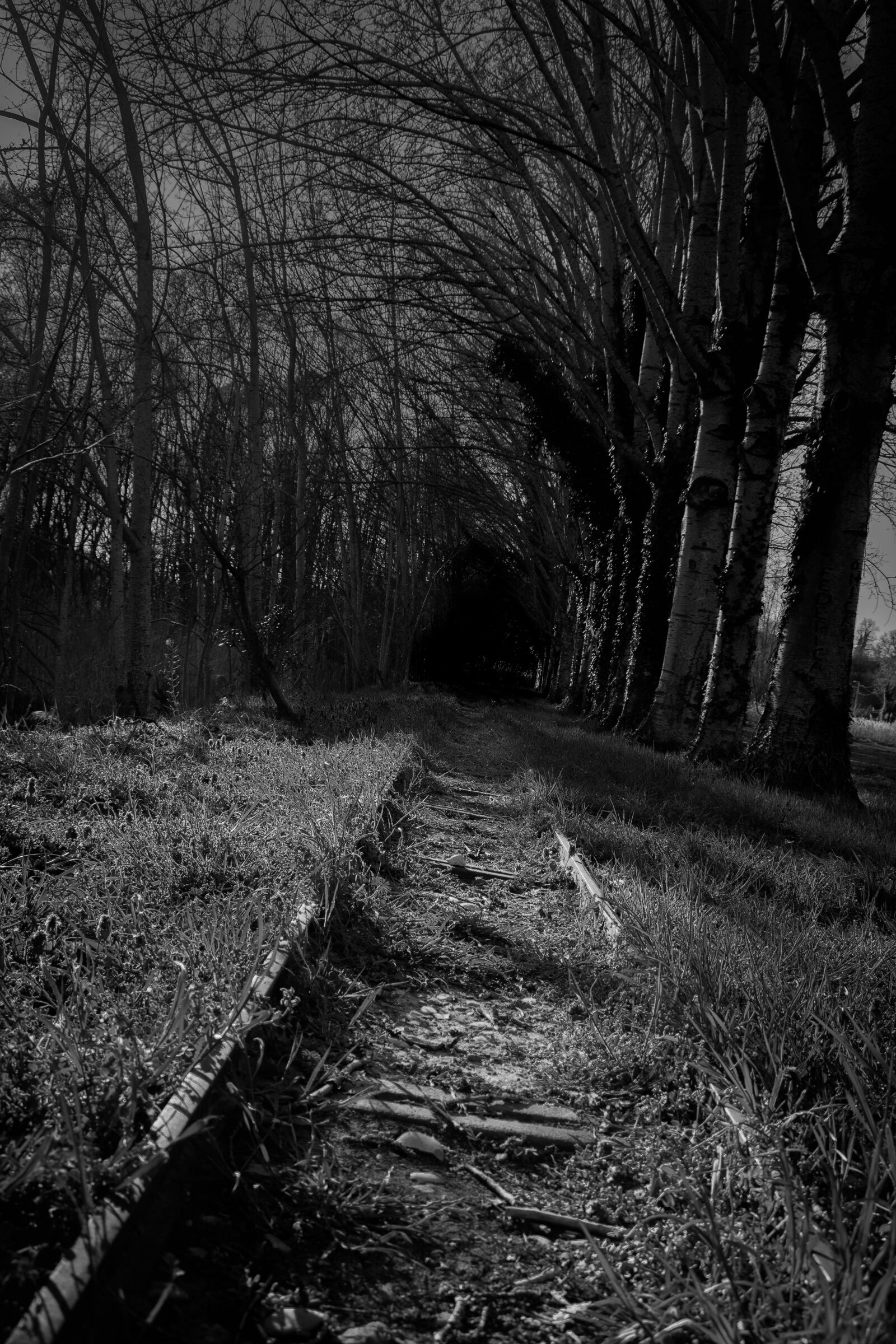 Nikon D3500 sample photo. Mood, dark, photography photography