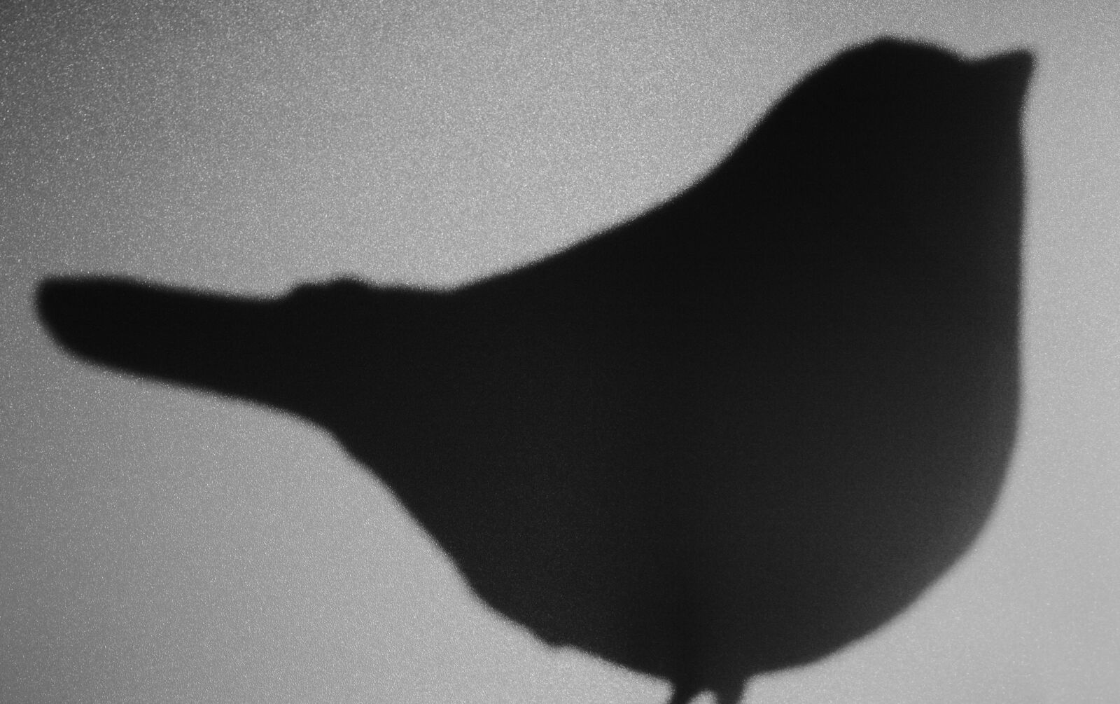 Canon EOS 750D (EOS Rebel T6i / EOS Kiss X8i) sample photo. Abstract, pattern, design photography