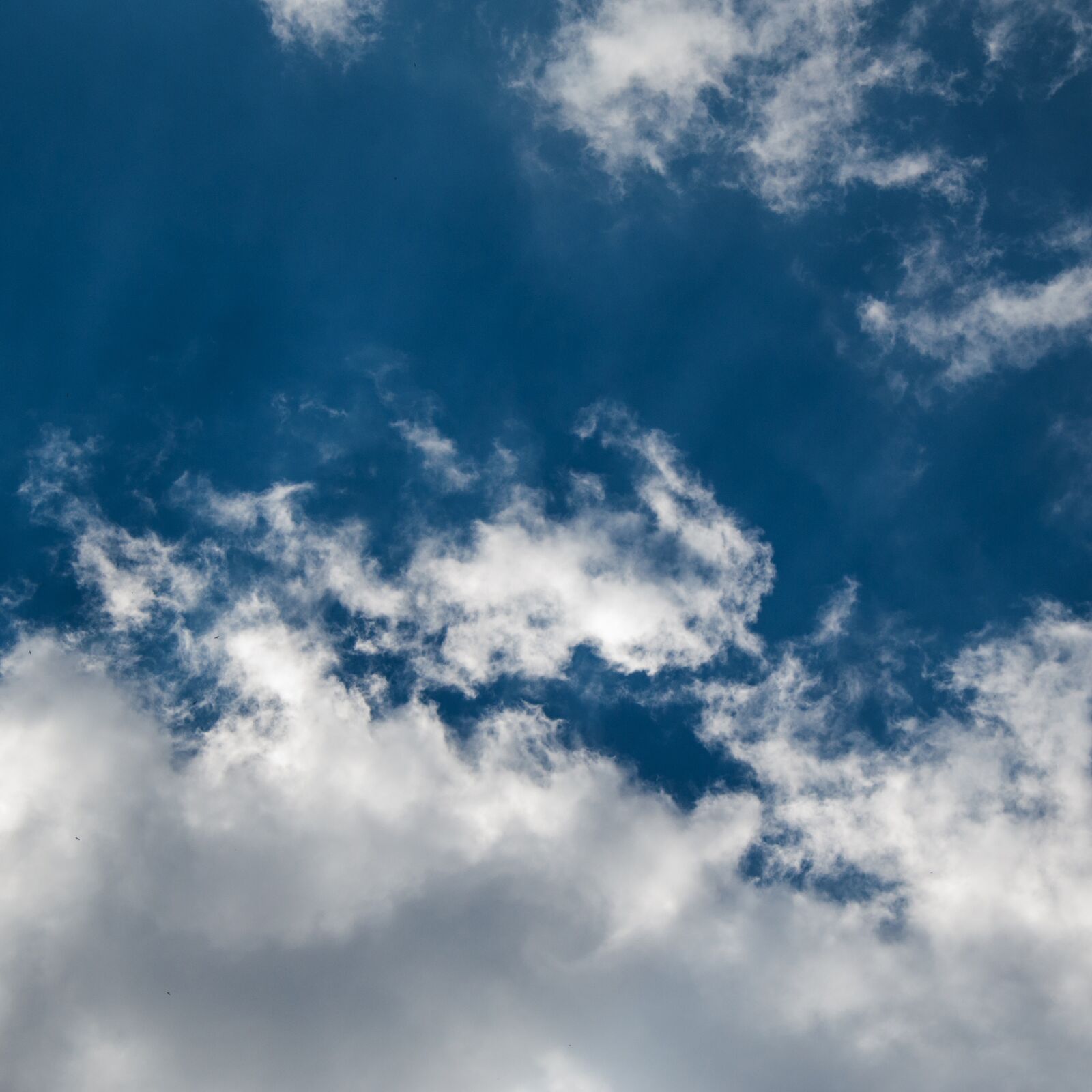 Nikon D90 sample photo. Sky, cloud, blue photography