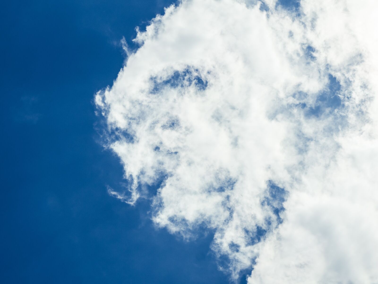 Olympus OM-D E-M10 sample photo. Nature, sky, clouds photography
