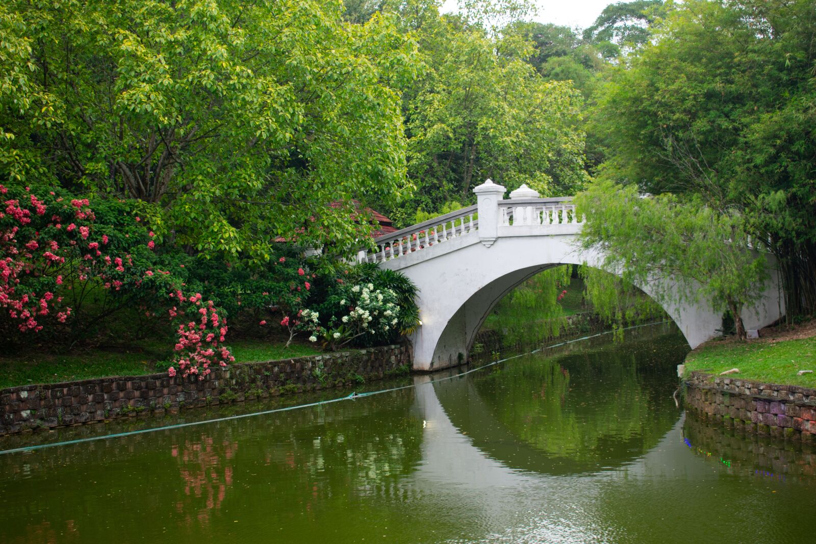 Nikon D3400 sample photo. Bridge, river, green photography