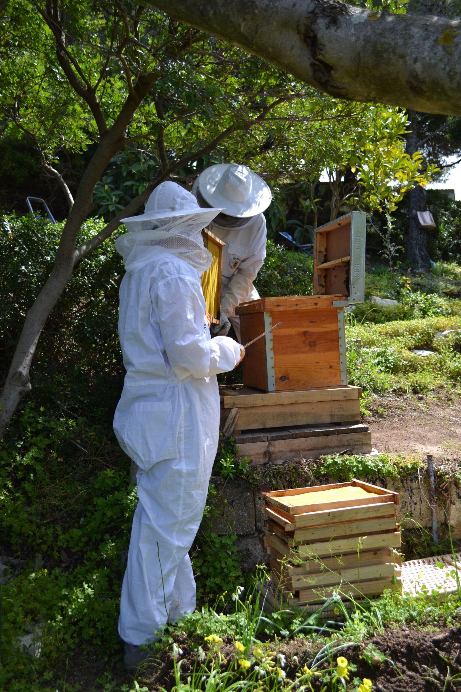 Nikon D3100 sample photo. Honey, andalusia, honing photography