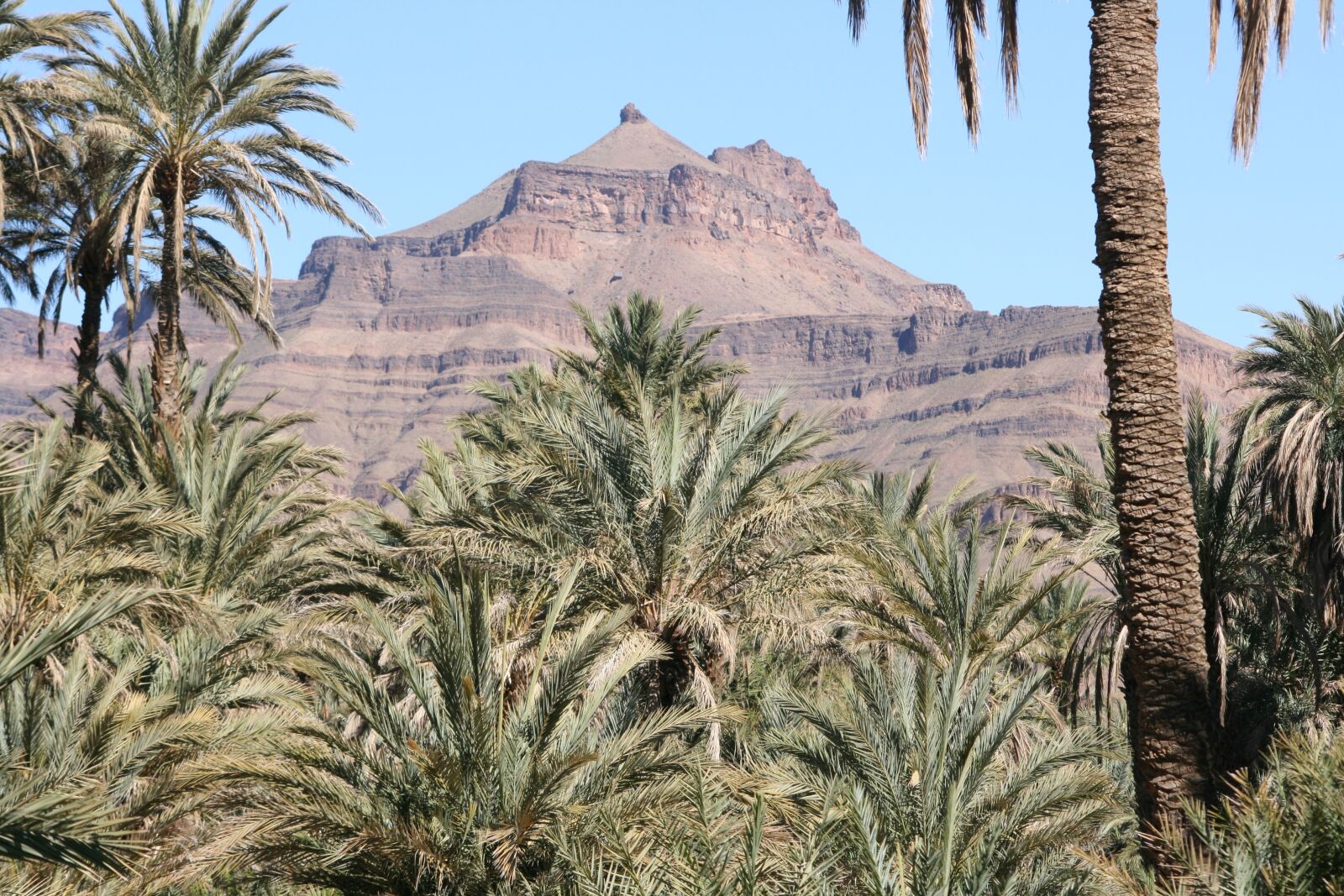 Canon EOS 400D (EOS Digital Rebel XTi / EOS Kiss Digital X) sample photo. Desert, oasis, peoples photography