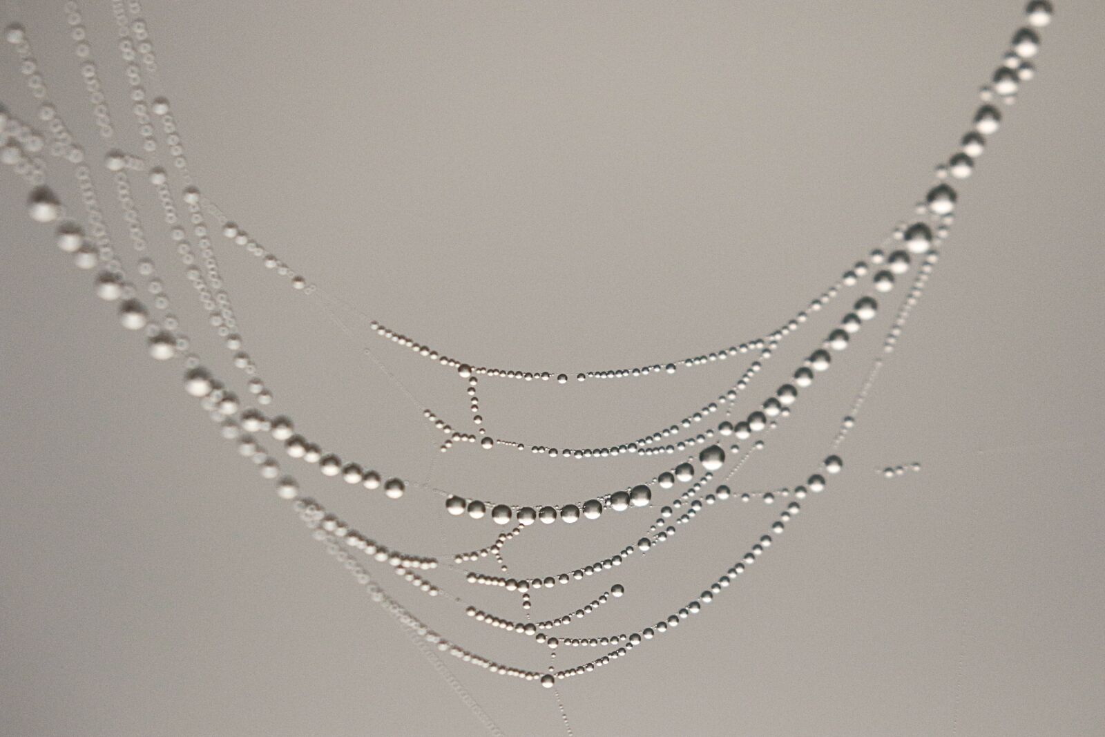 Canon EOS 7D Mark II sample photo. Water, pearls, drops photography