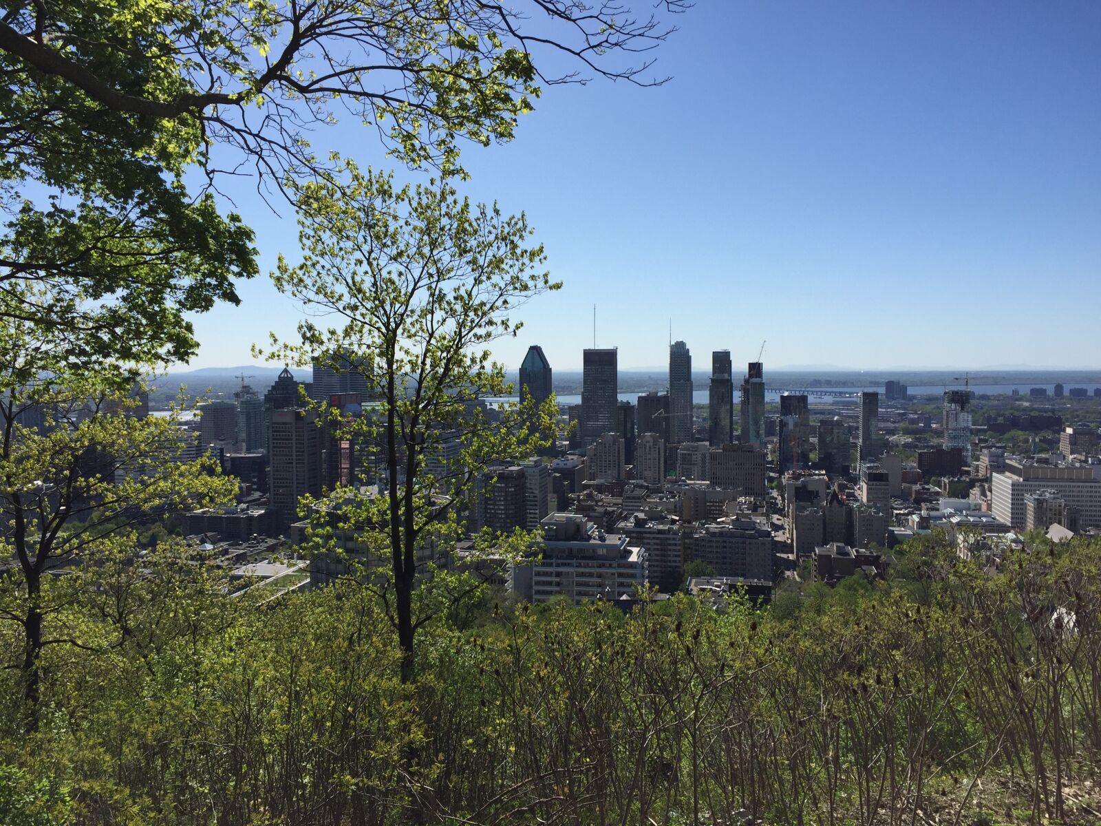 Apple iPhone 6 sample photo. Montreal, quebec, canada photography