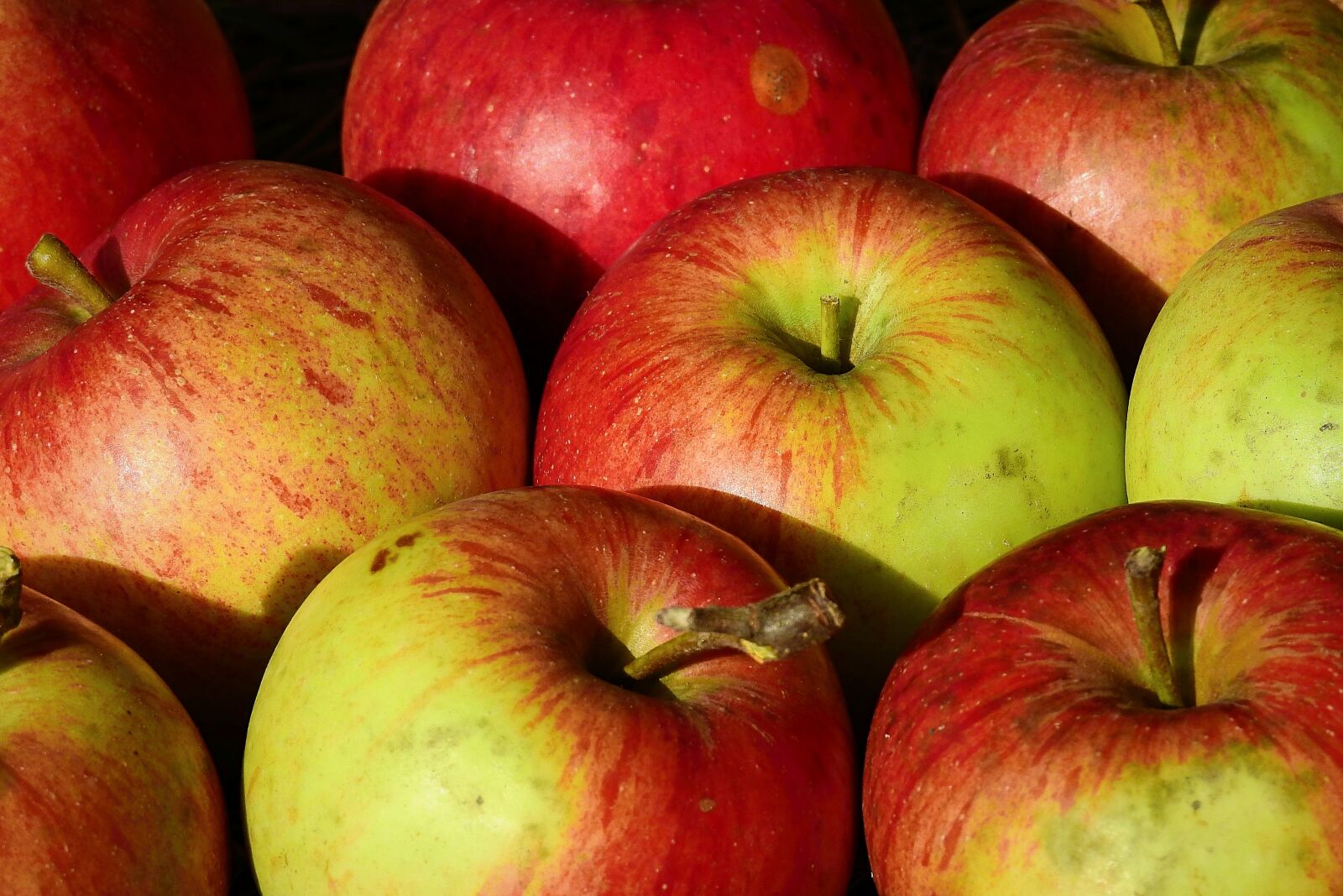 Nikon Coolpix P900 sample photo. Apples, vitamins, fruit photography