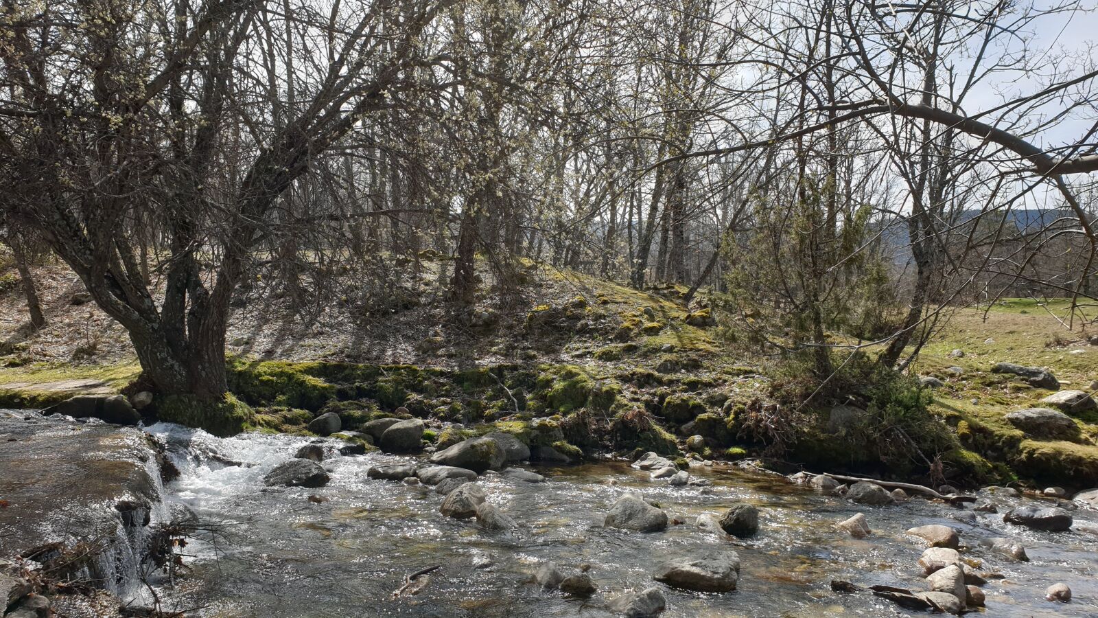 Samsung Galaxy S9+ sample photo. Madrid, monta a, espa photography