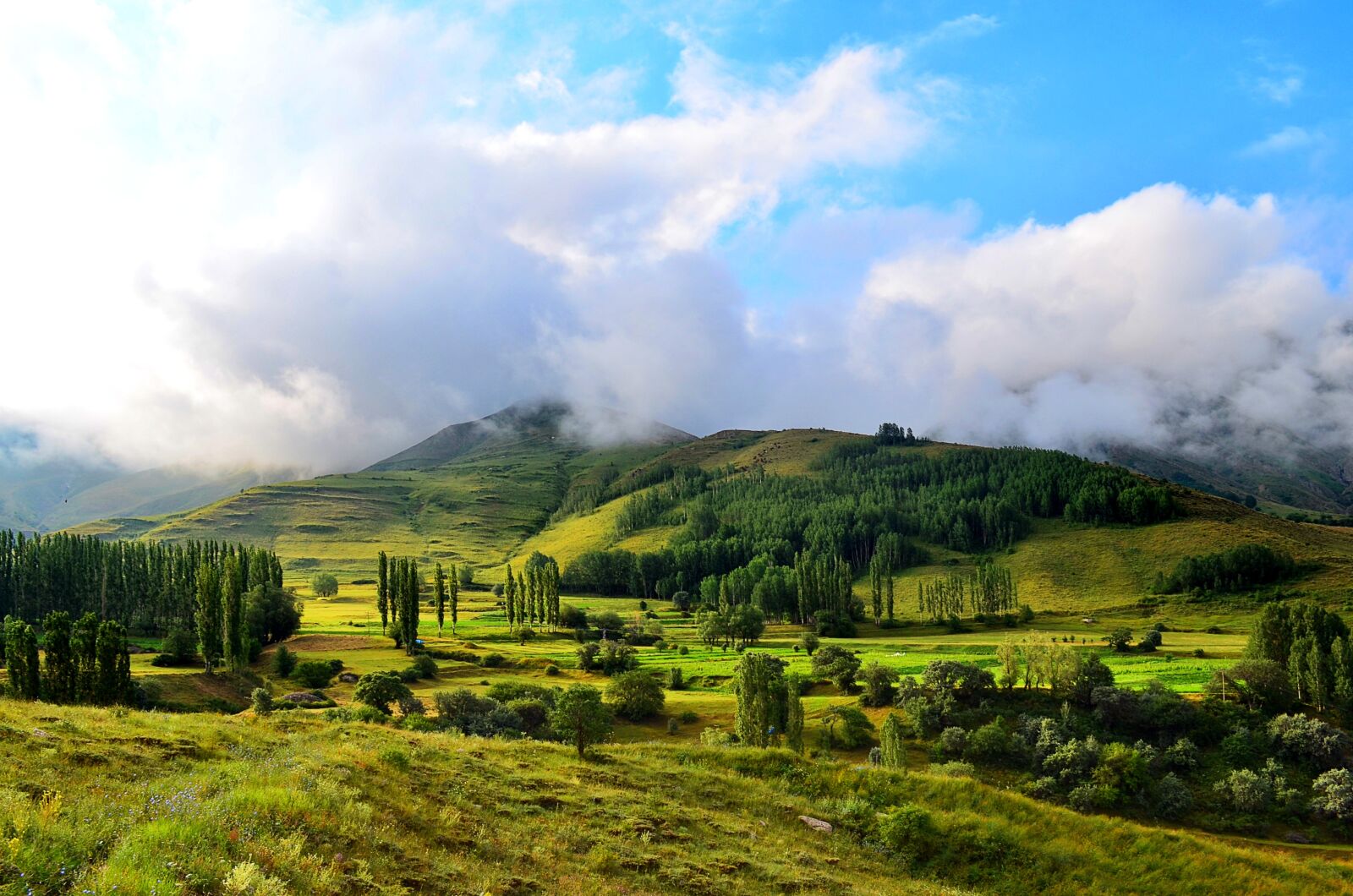 Nikon D5100 sample photo. Nature, landscape, kaçkars photography