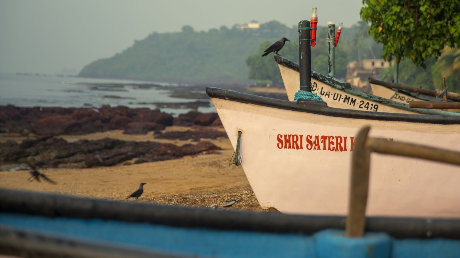 Canon EOS 5D Mark IV sample photo. Boat, fish, fishing photography