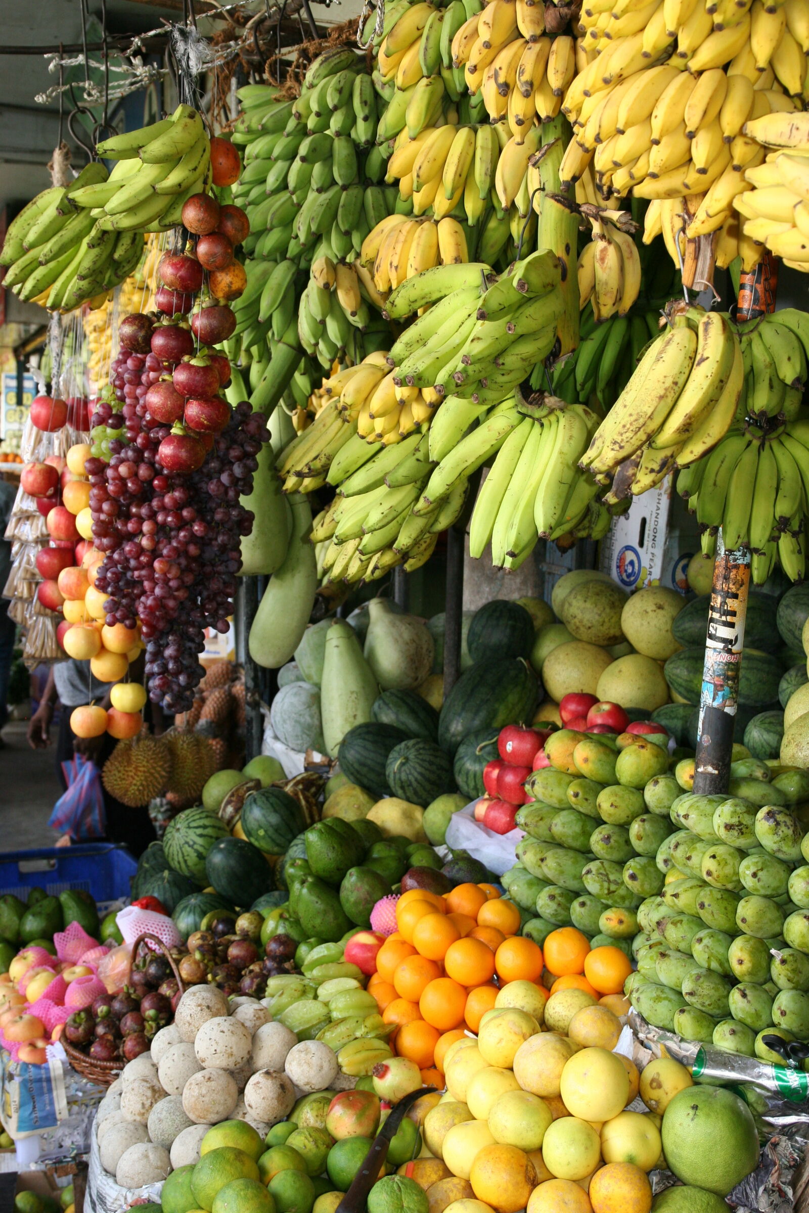 Canon EOS 20D sample photo. Assorted, fruits, stall photography