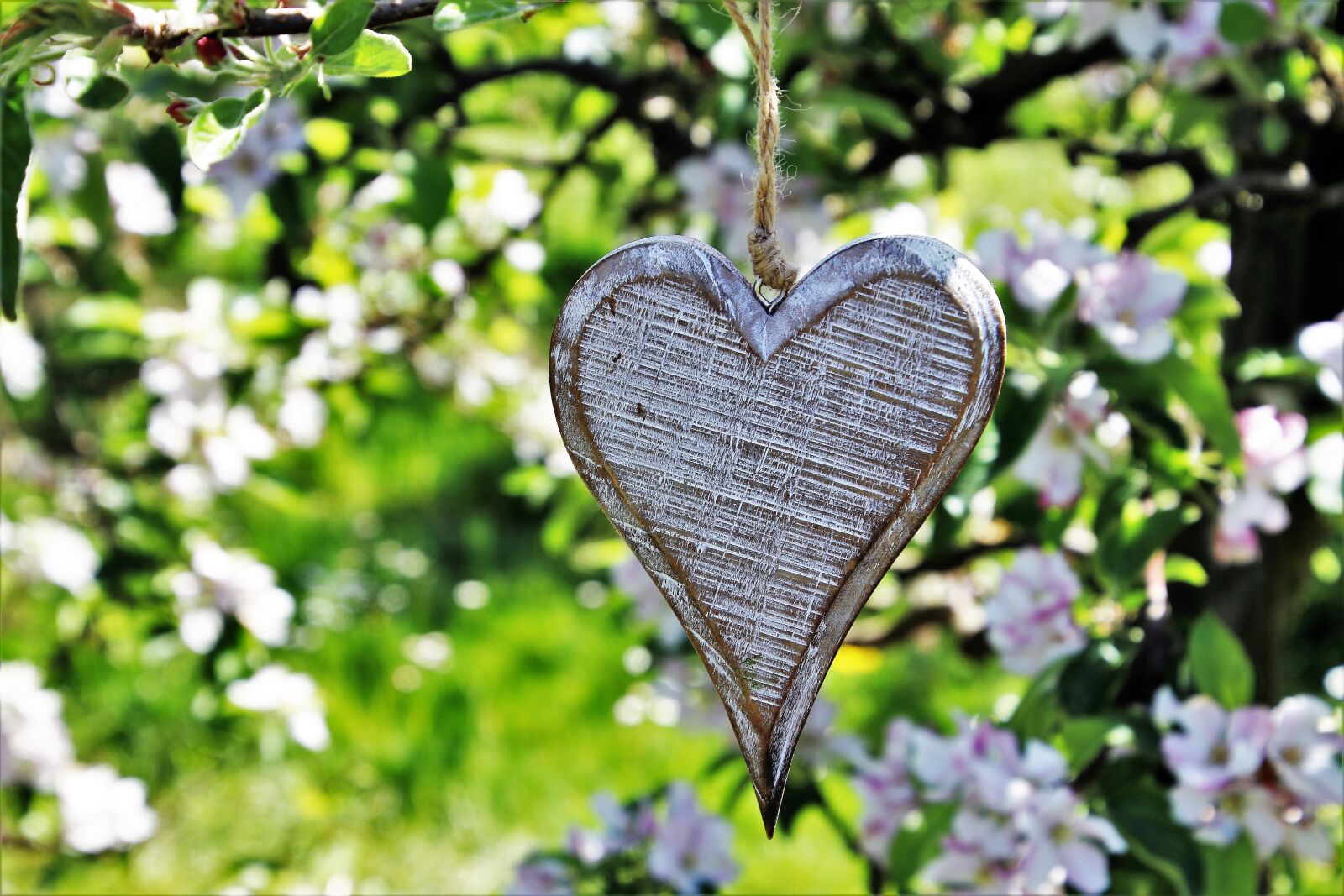 Canon EOS 80D sample photo. Heart, wooden, sad photography
